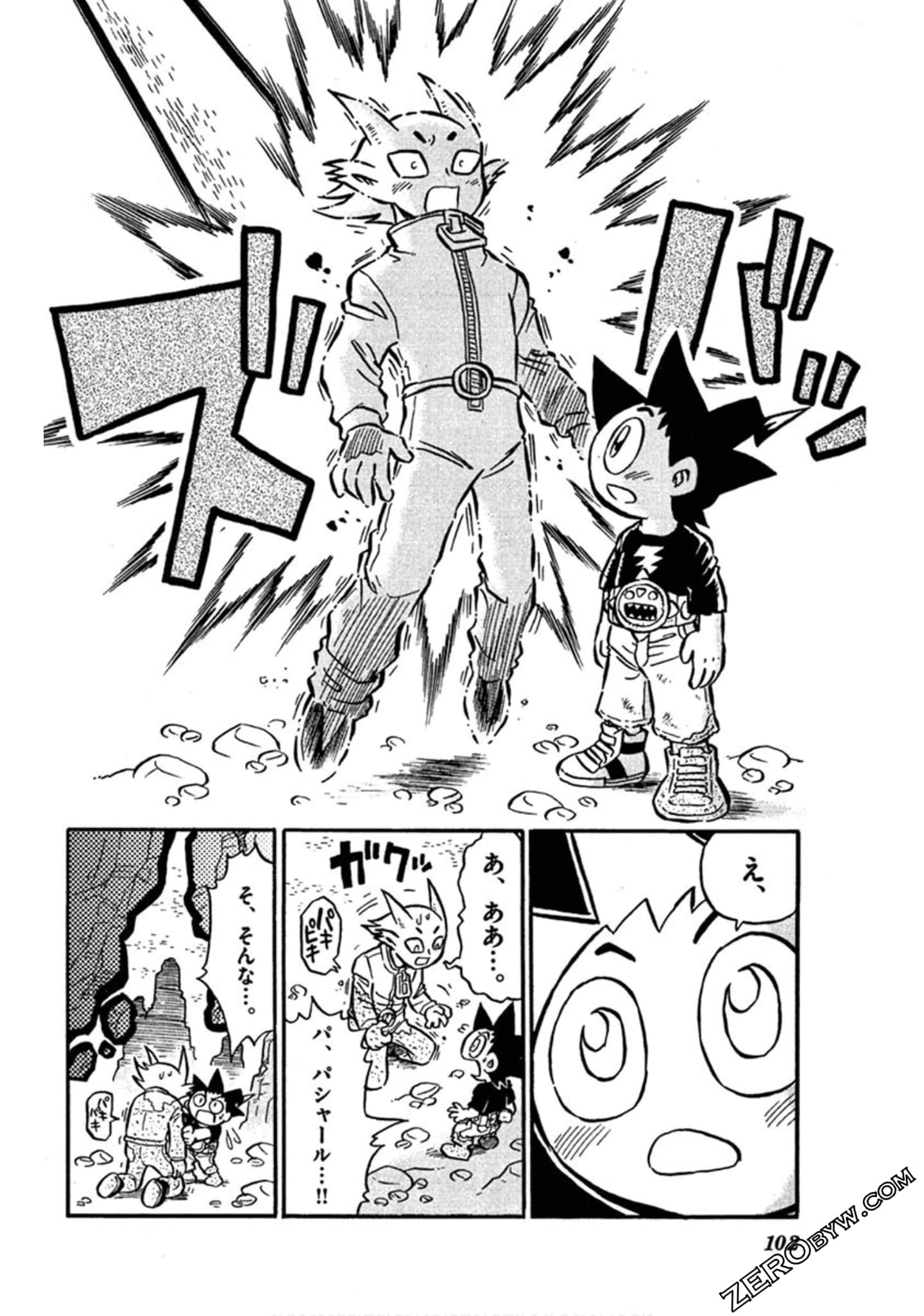 Page 101