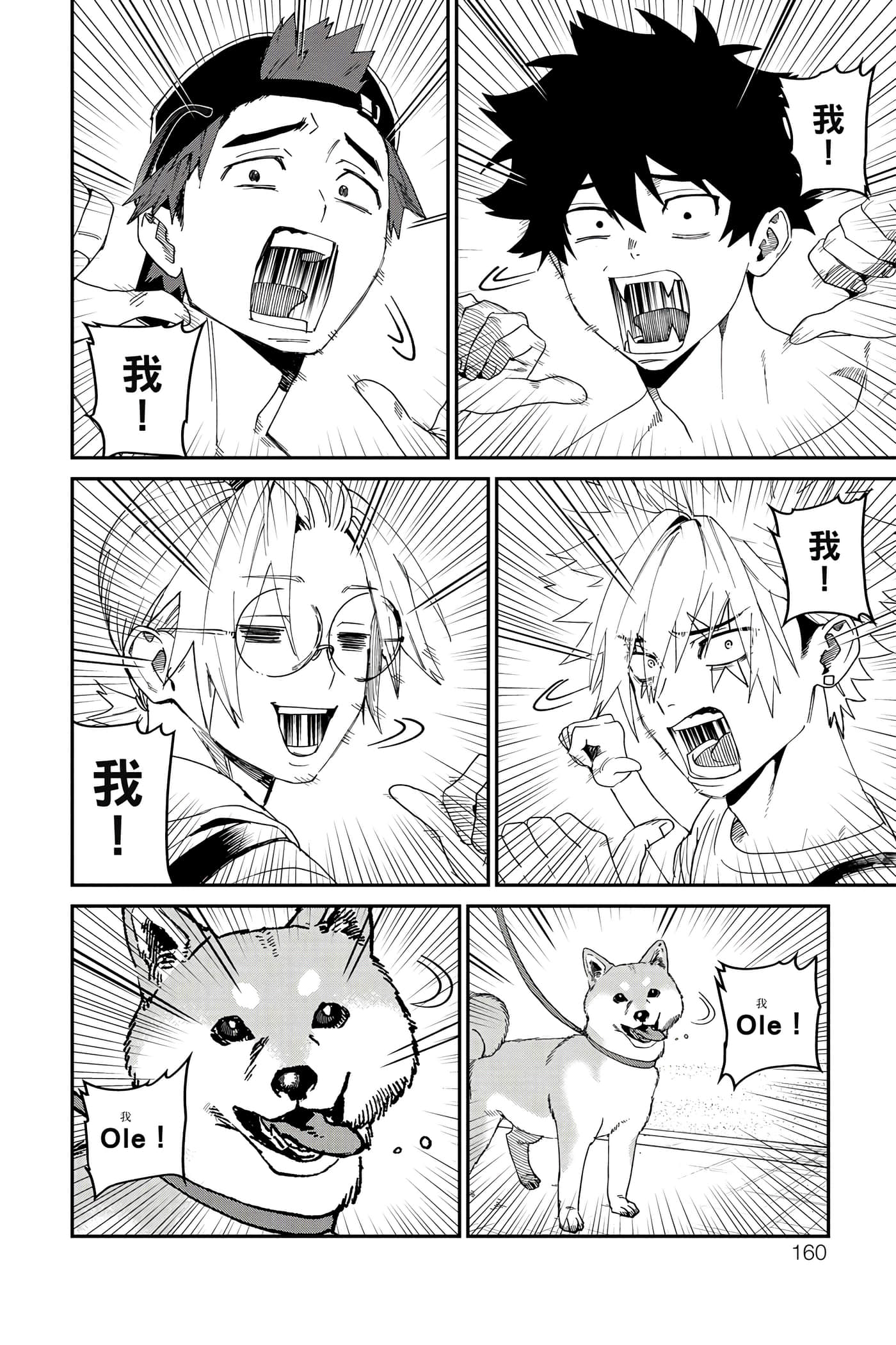 Page 161