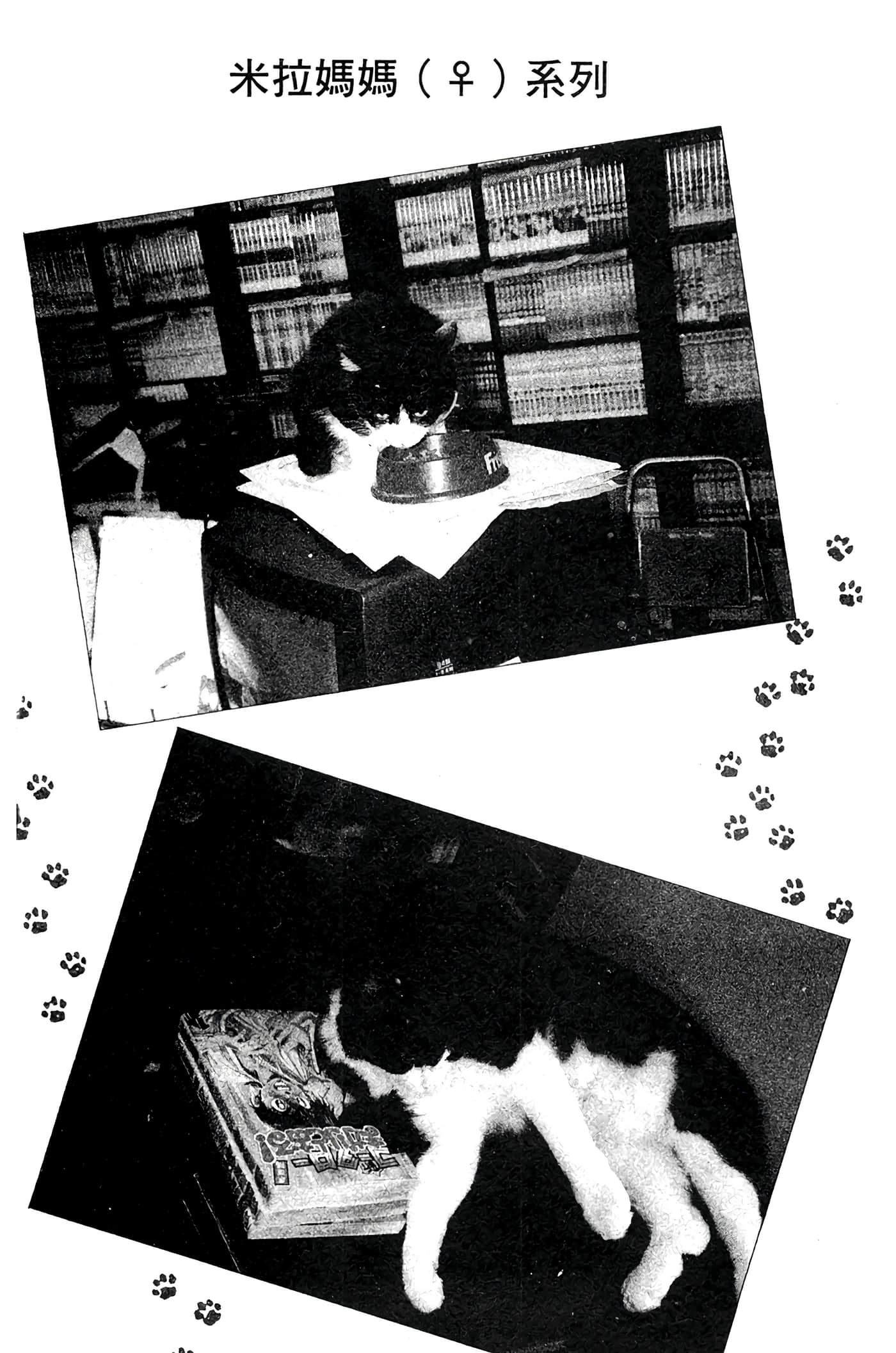 Page 96