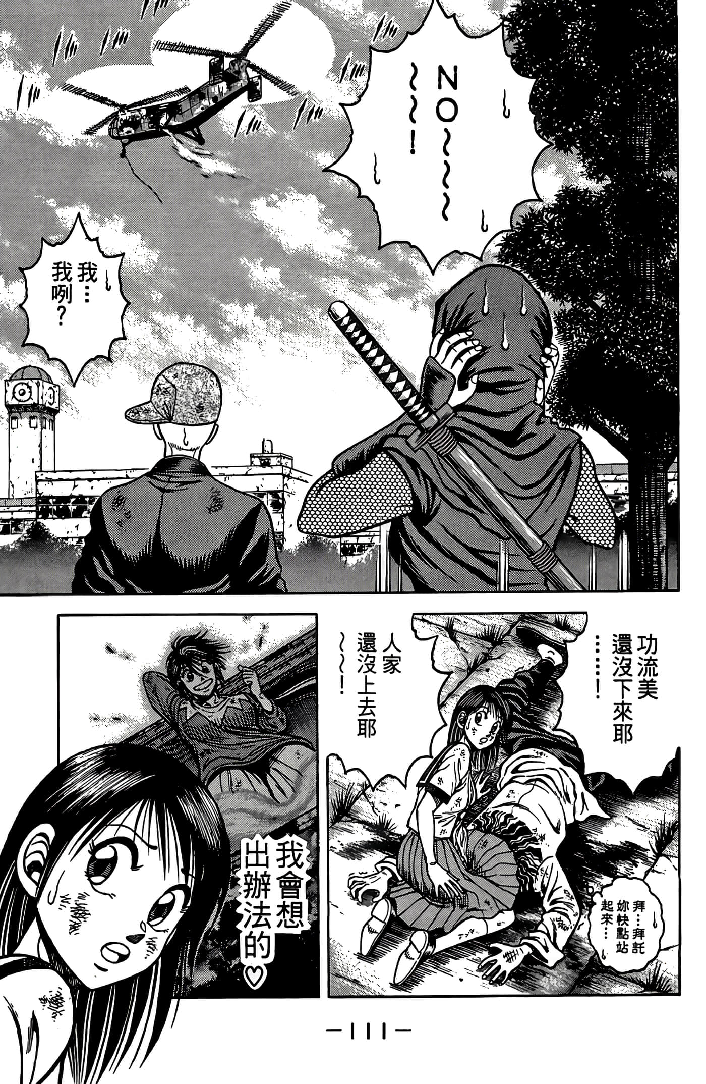Page 113