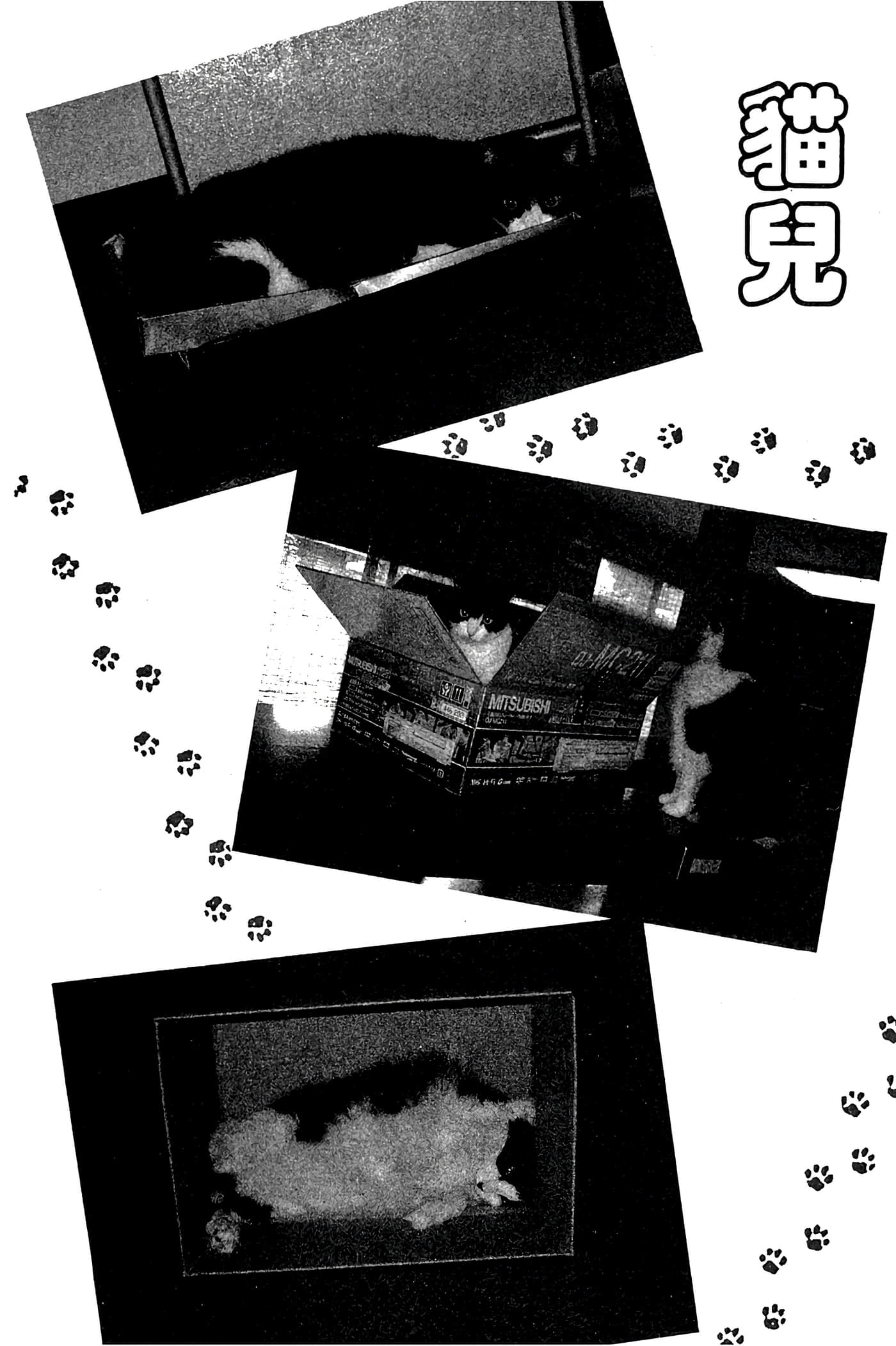 Page 214