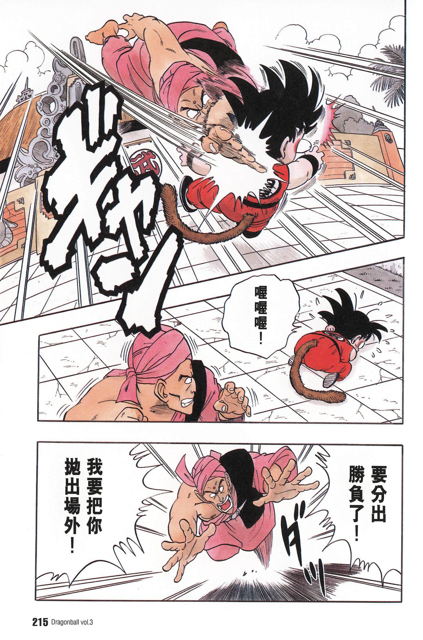 Page 219