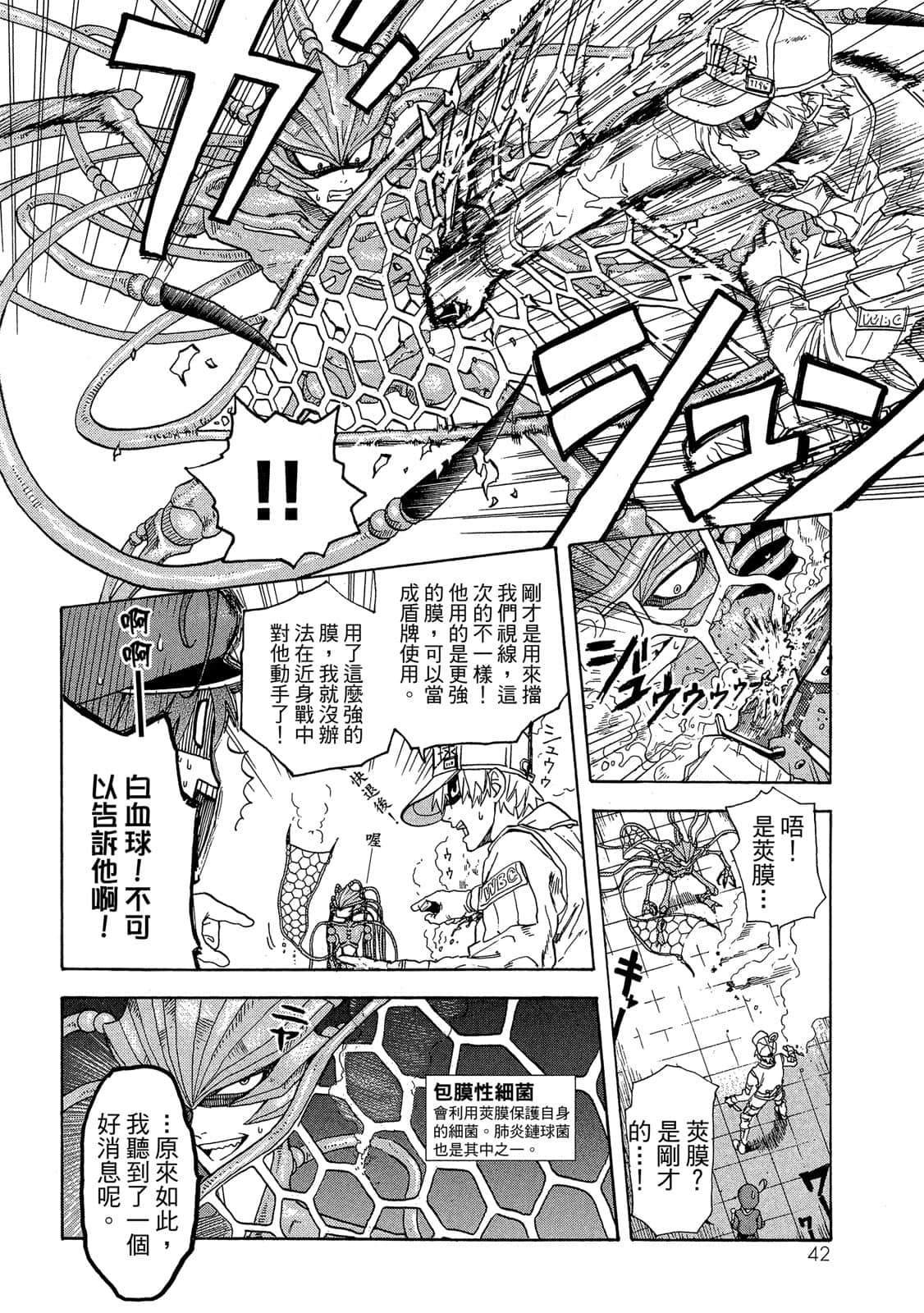 Page 43