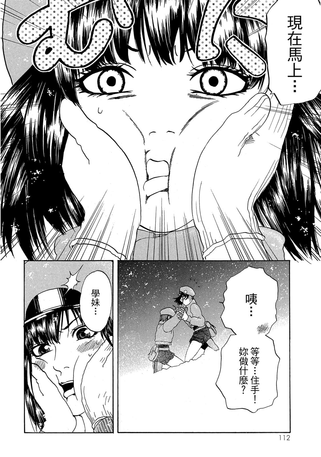 Page 113