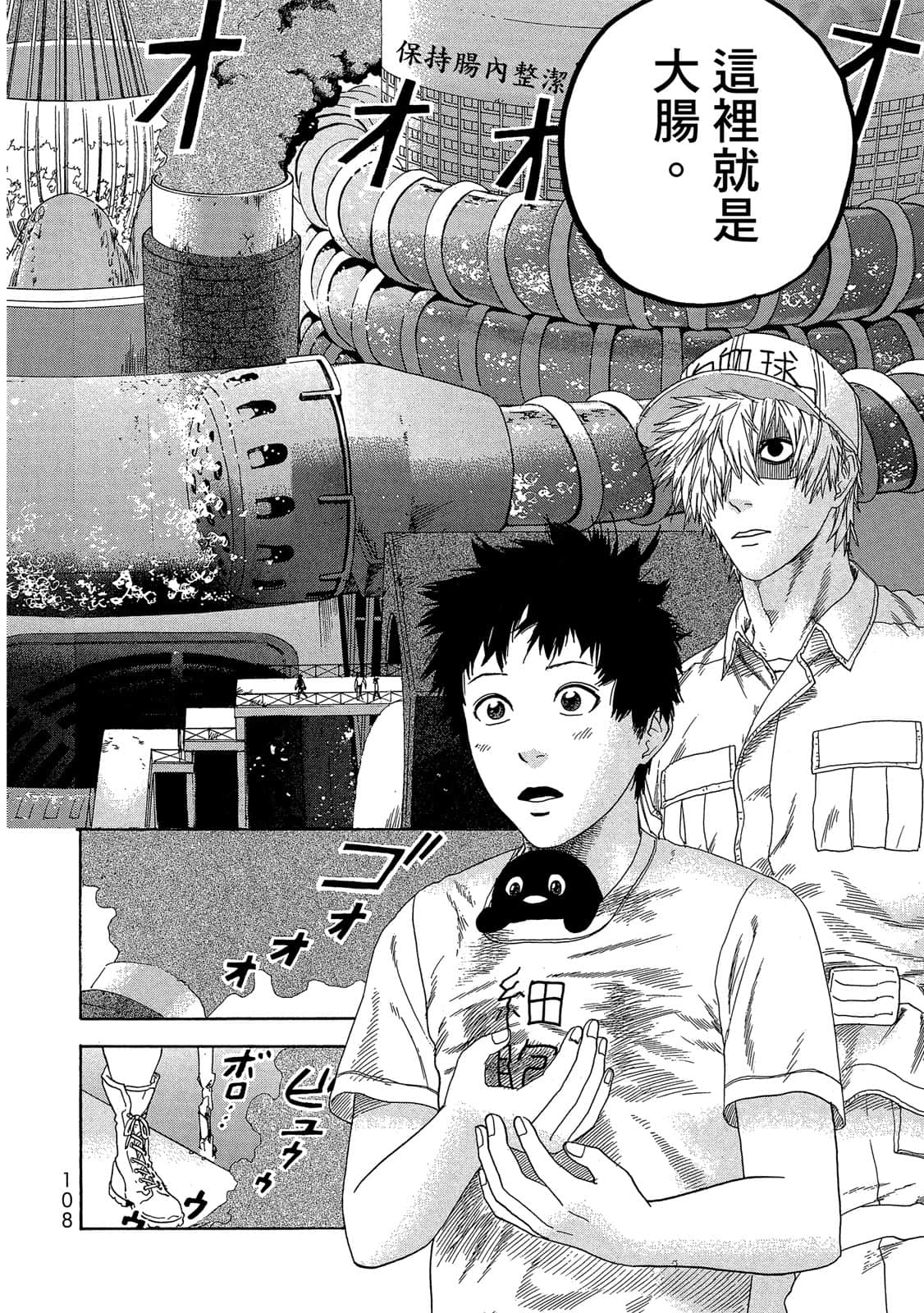 Page 109