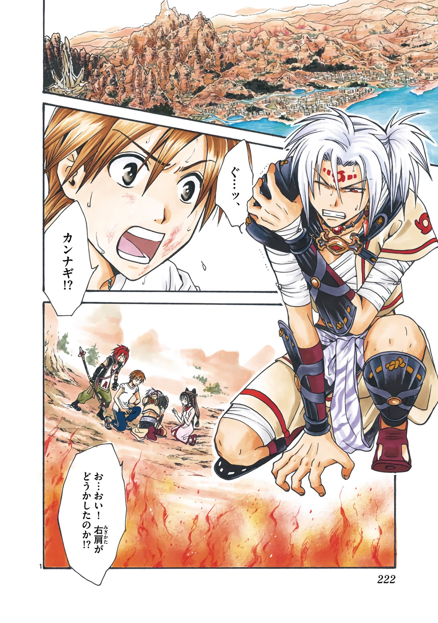 Page 223