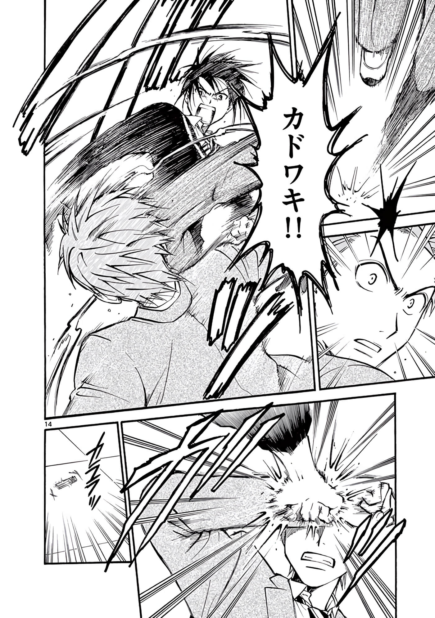 Page 233