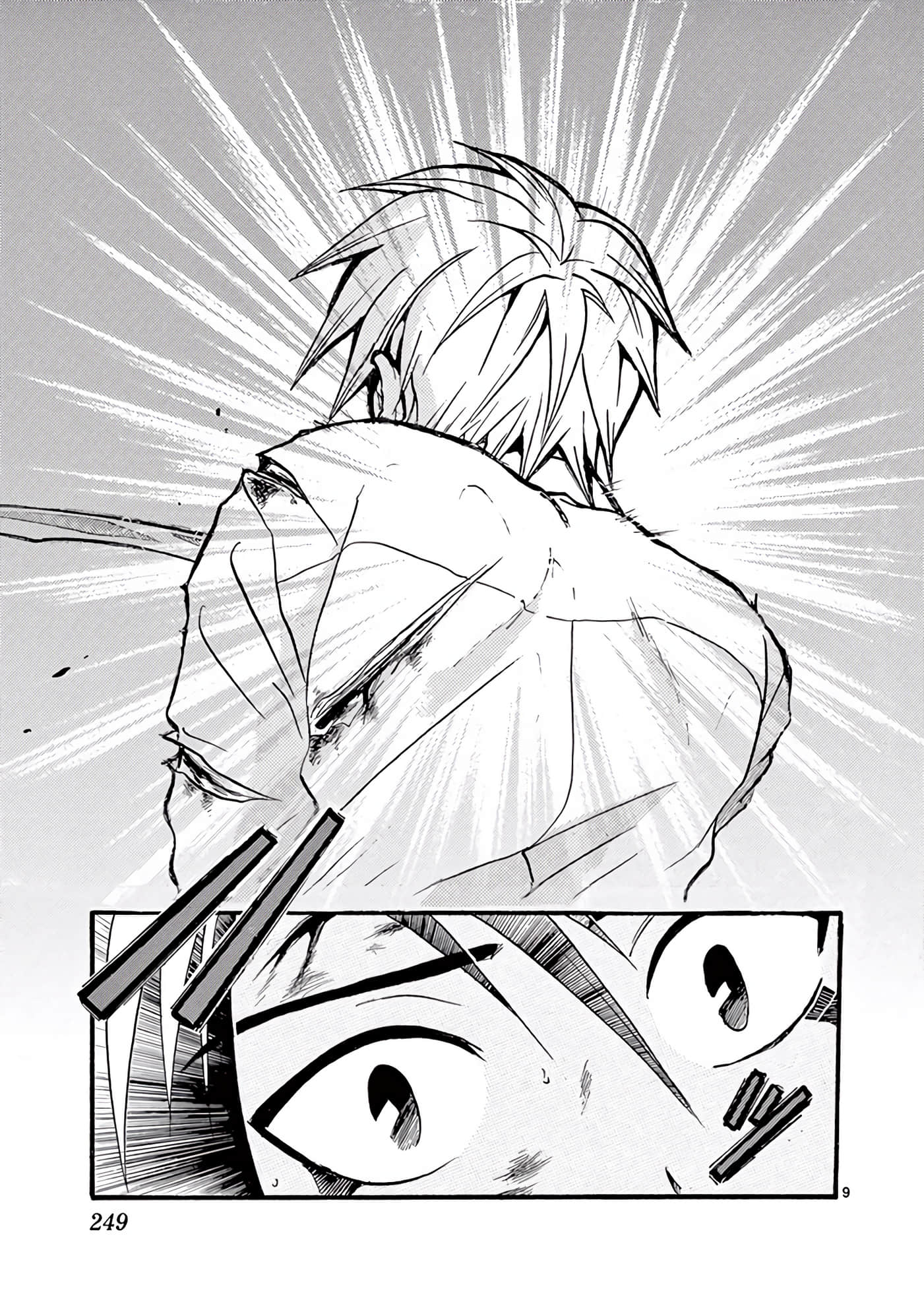 Page 250