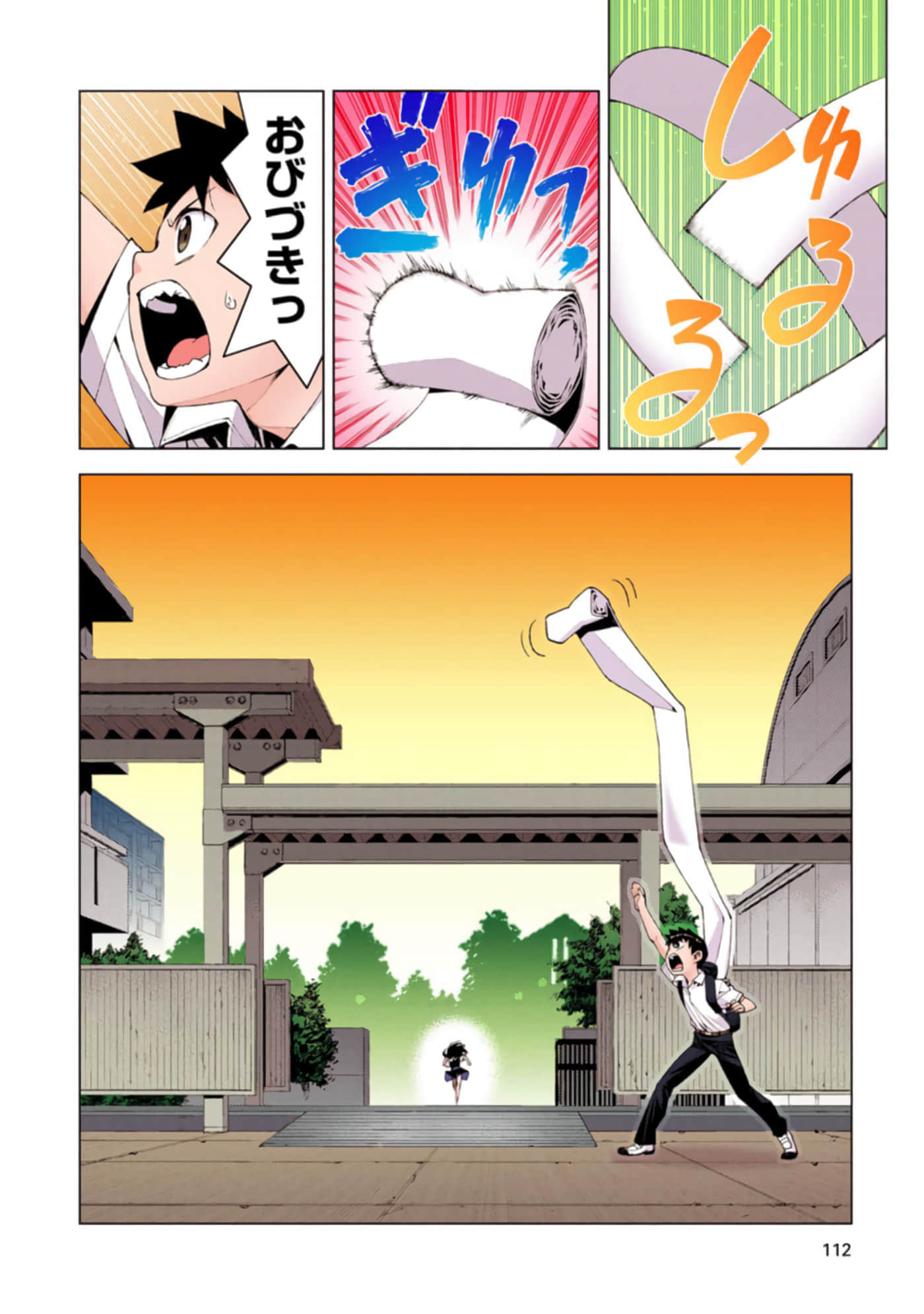 Page 111