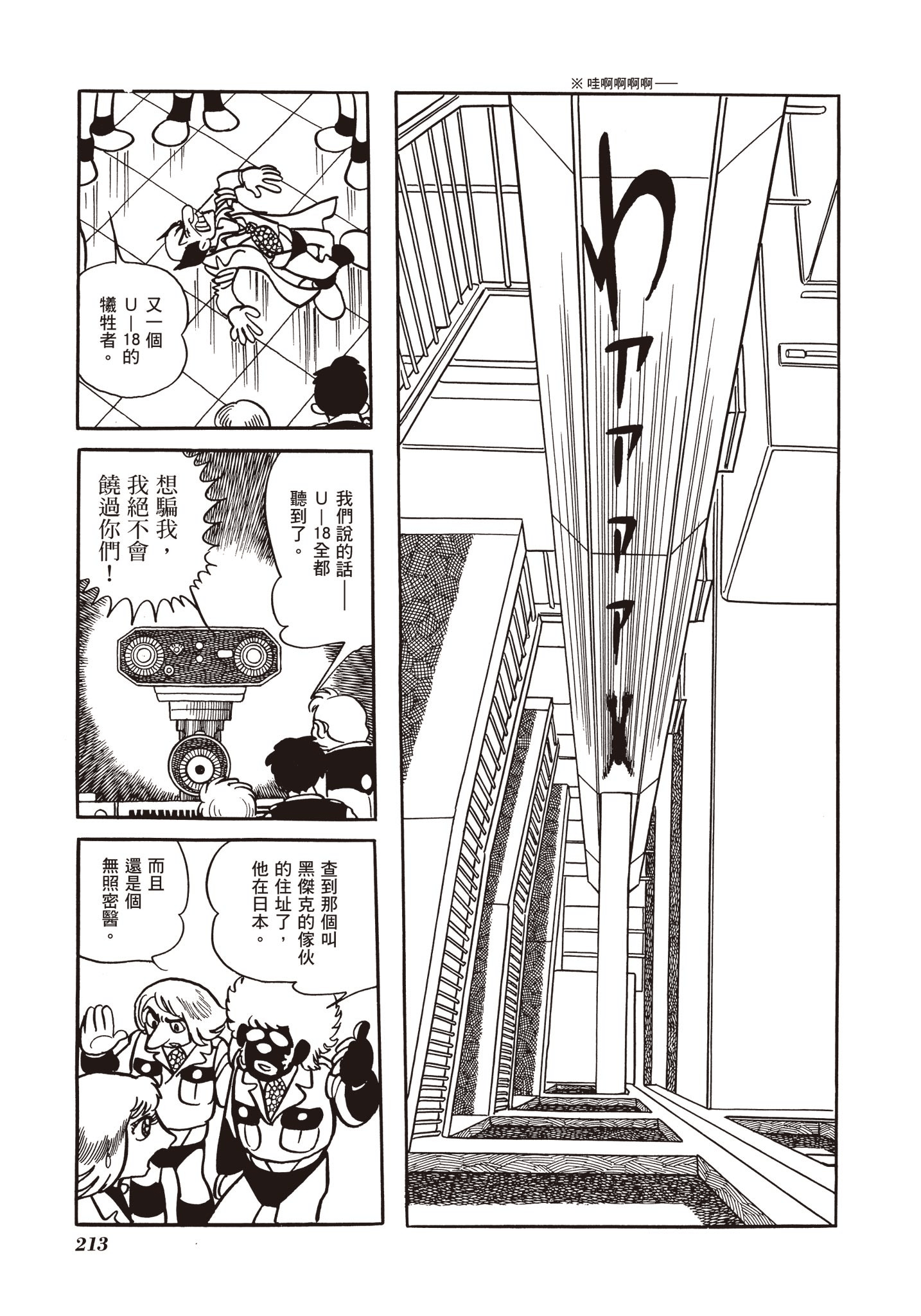Page 213
