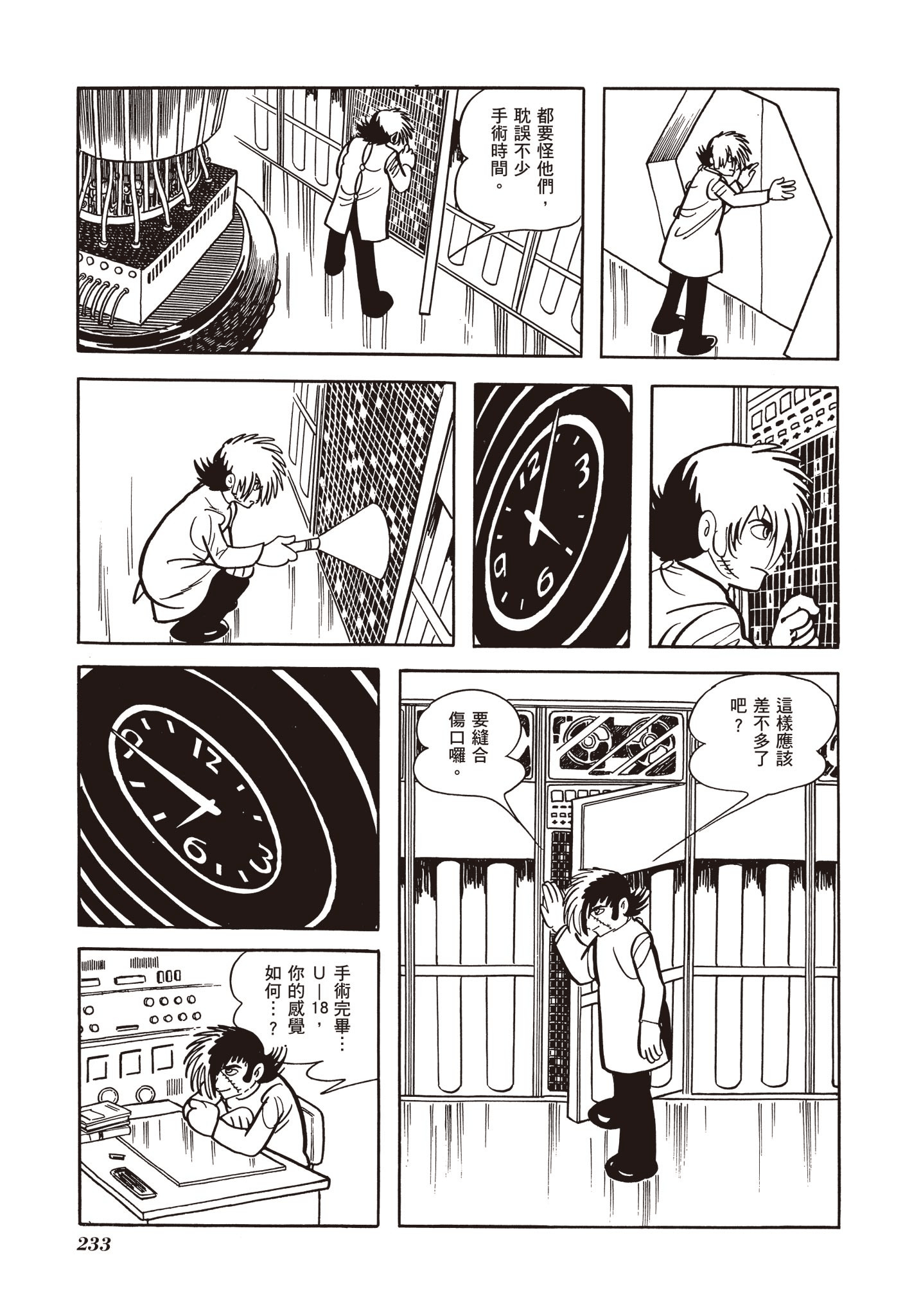 Page 233