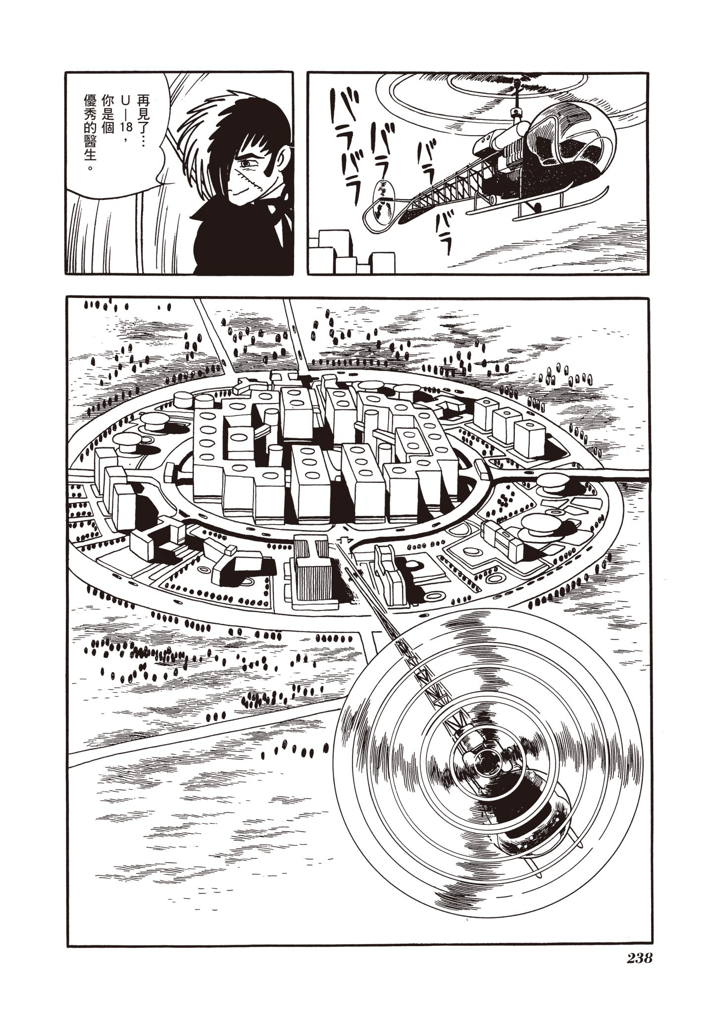 Page 238