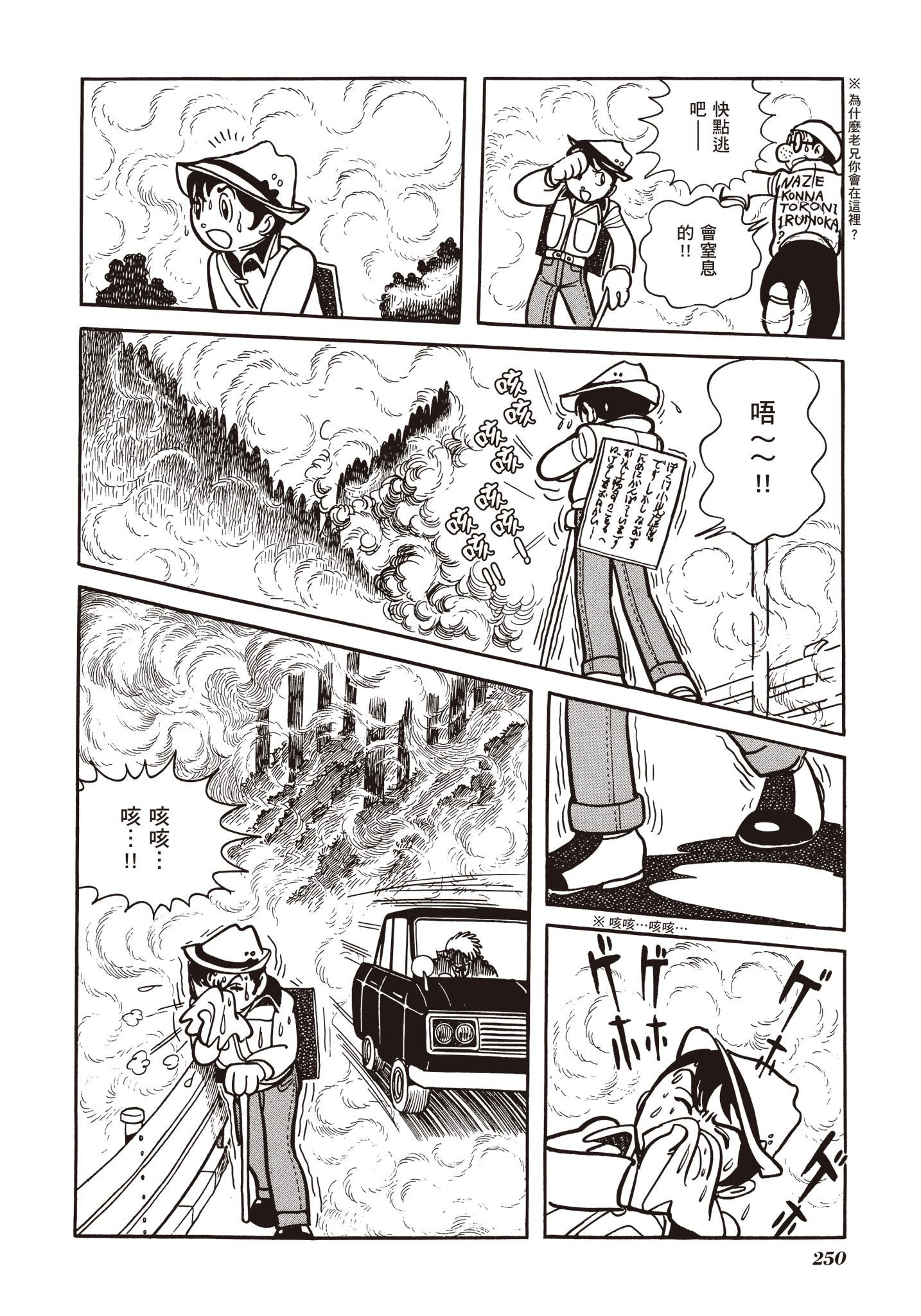Page 250
