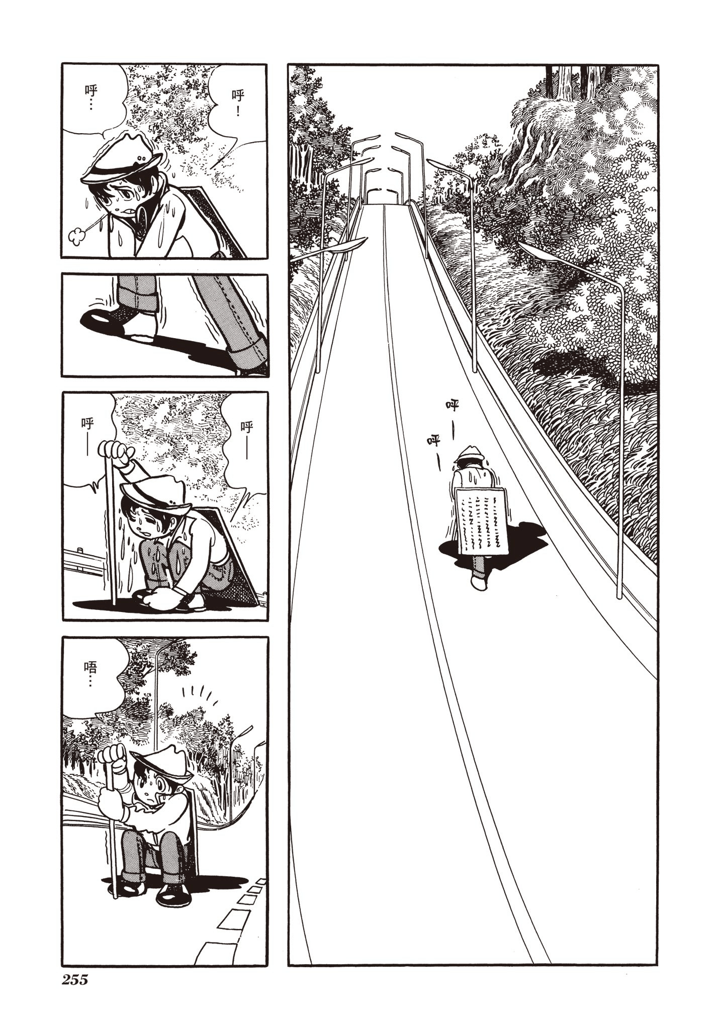Page 255
