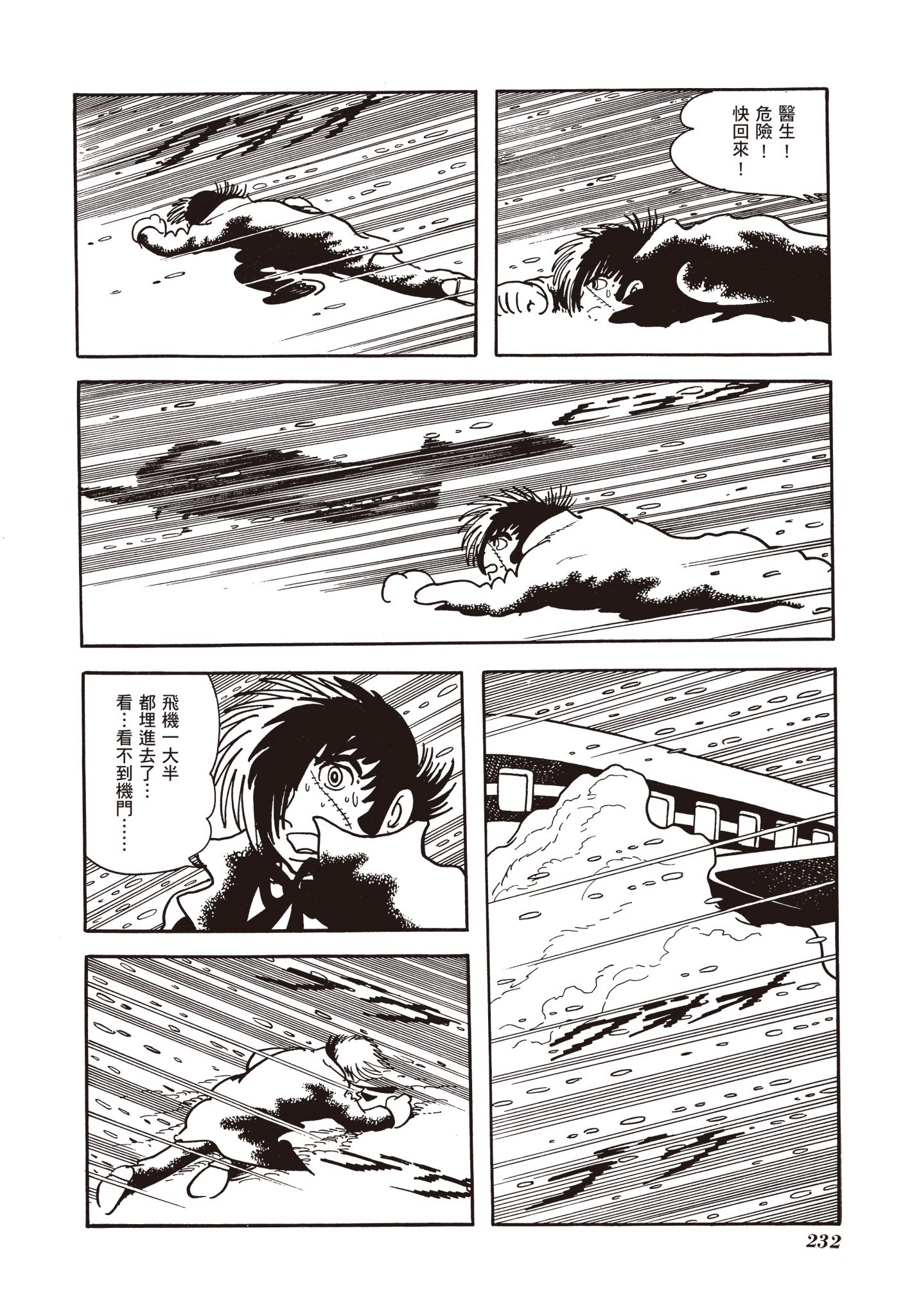 Page 231