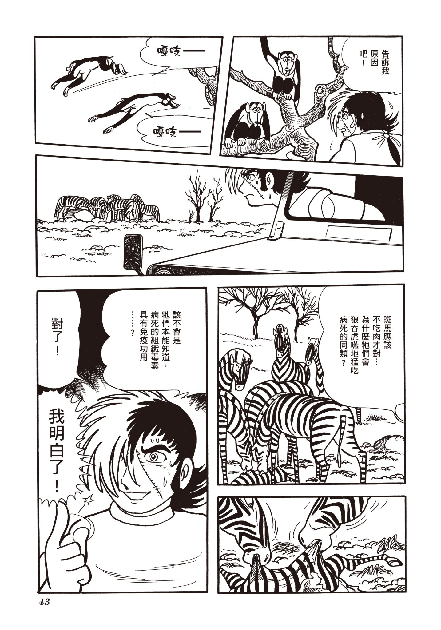 Page 43