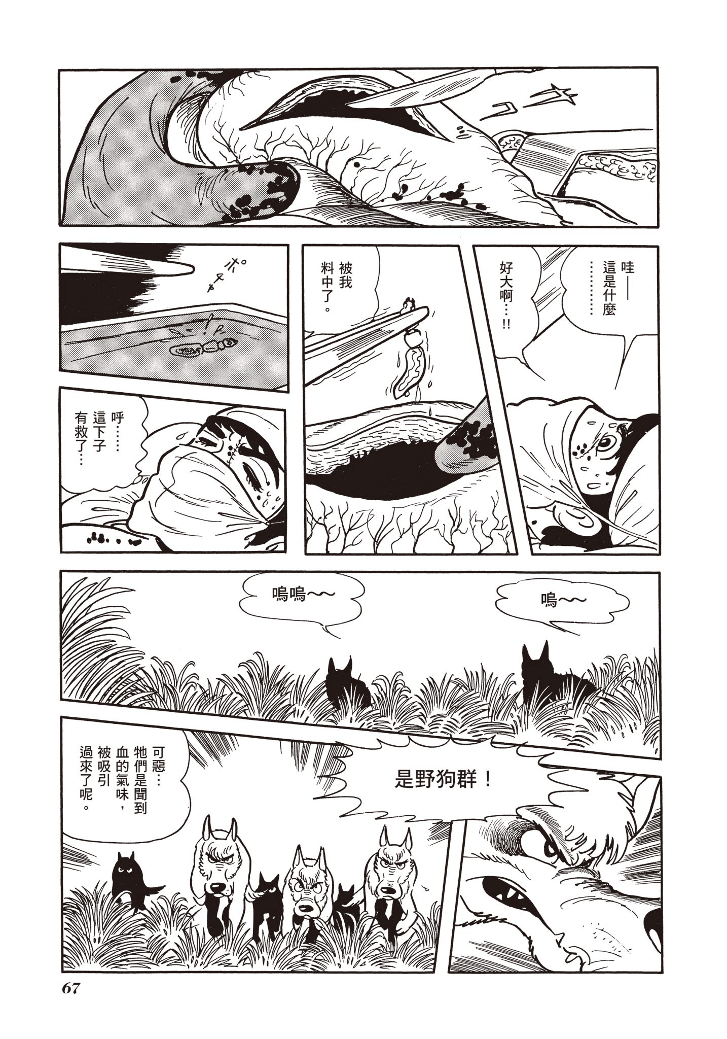 Page 66