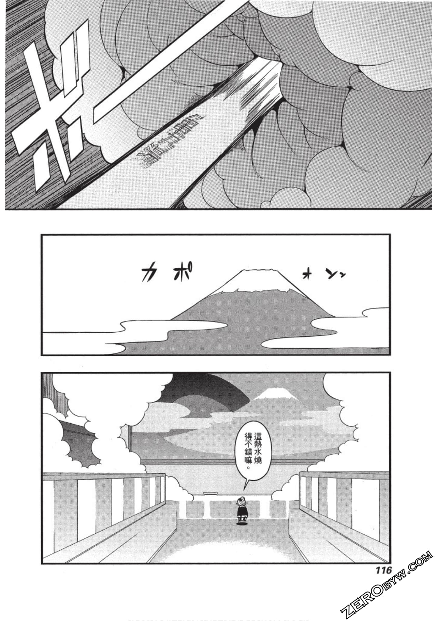 Page 117
