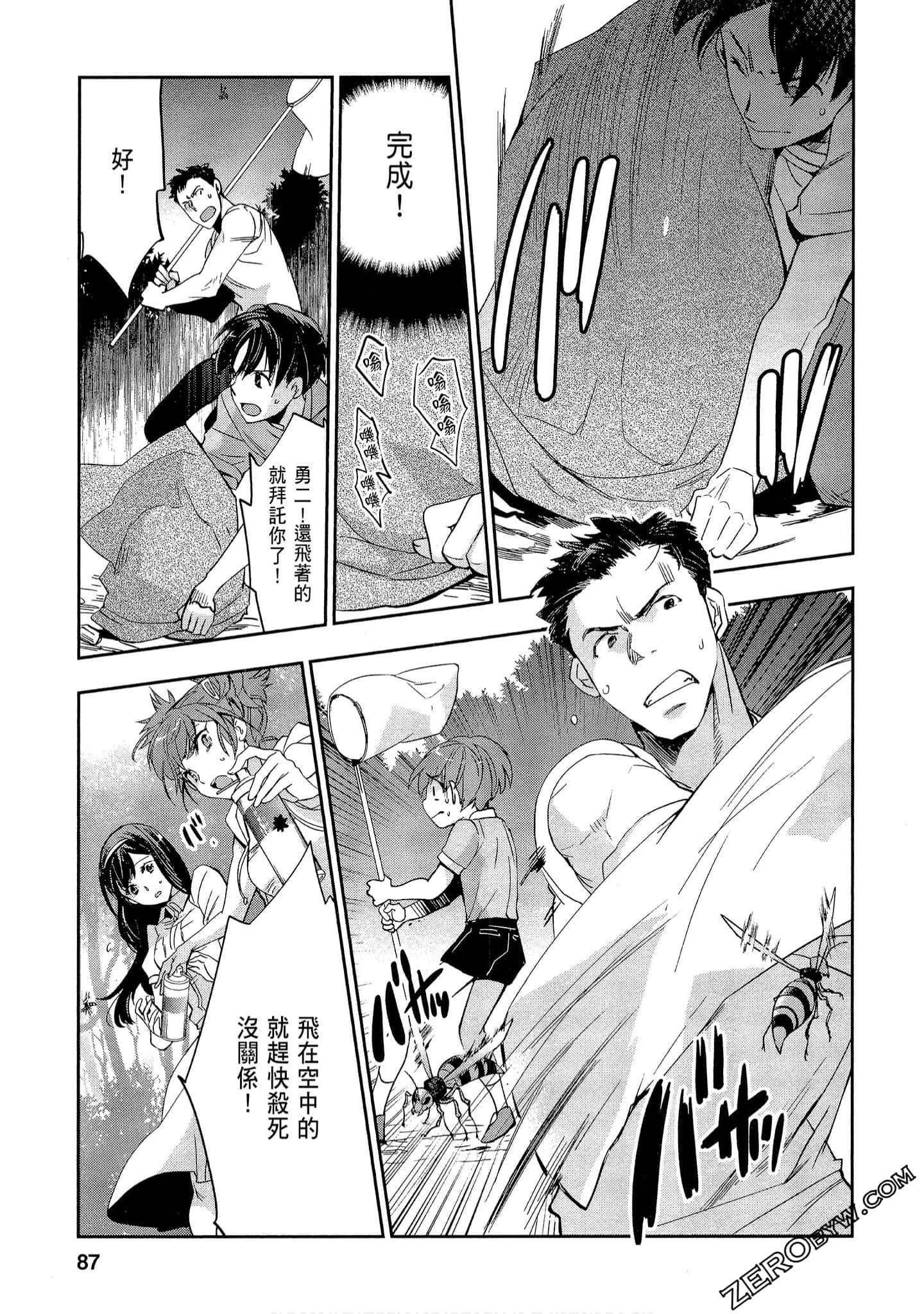 Page 87