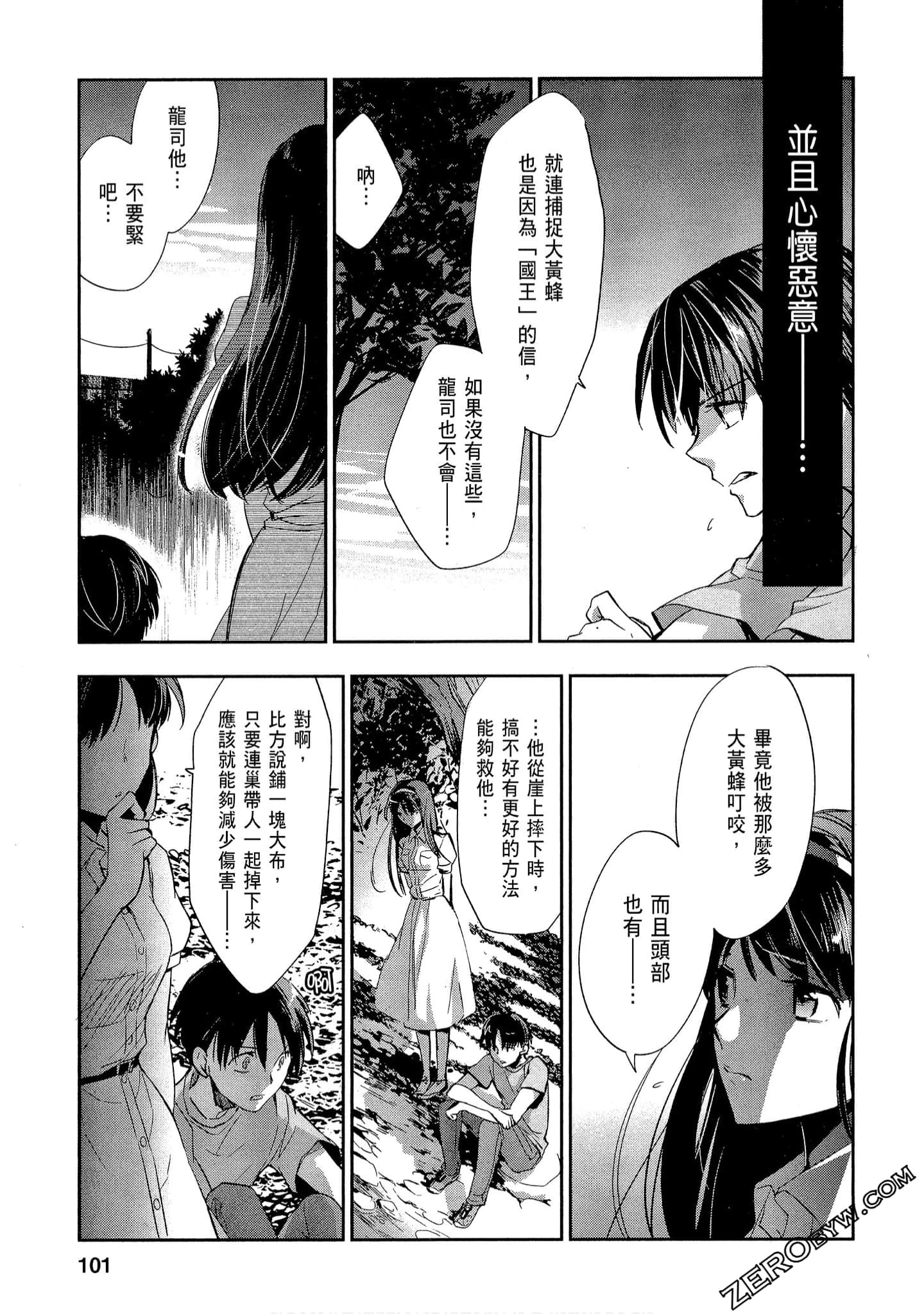 Page 101