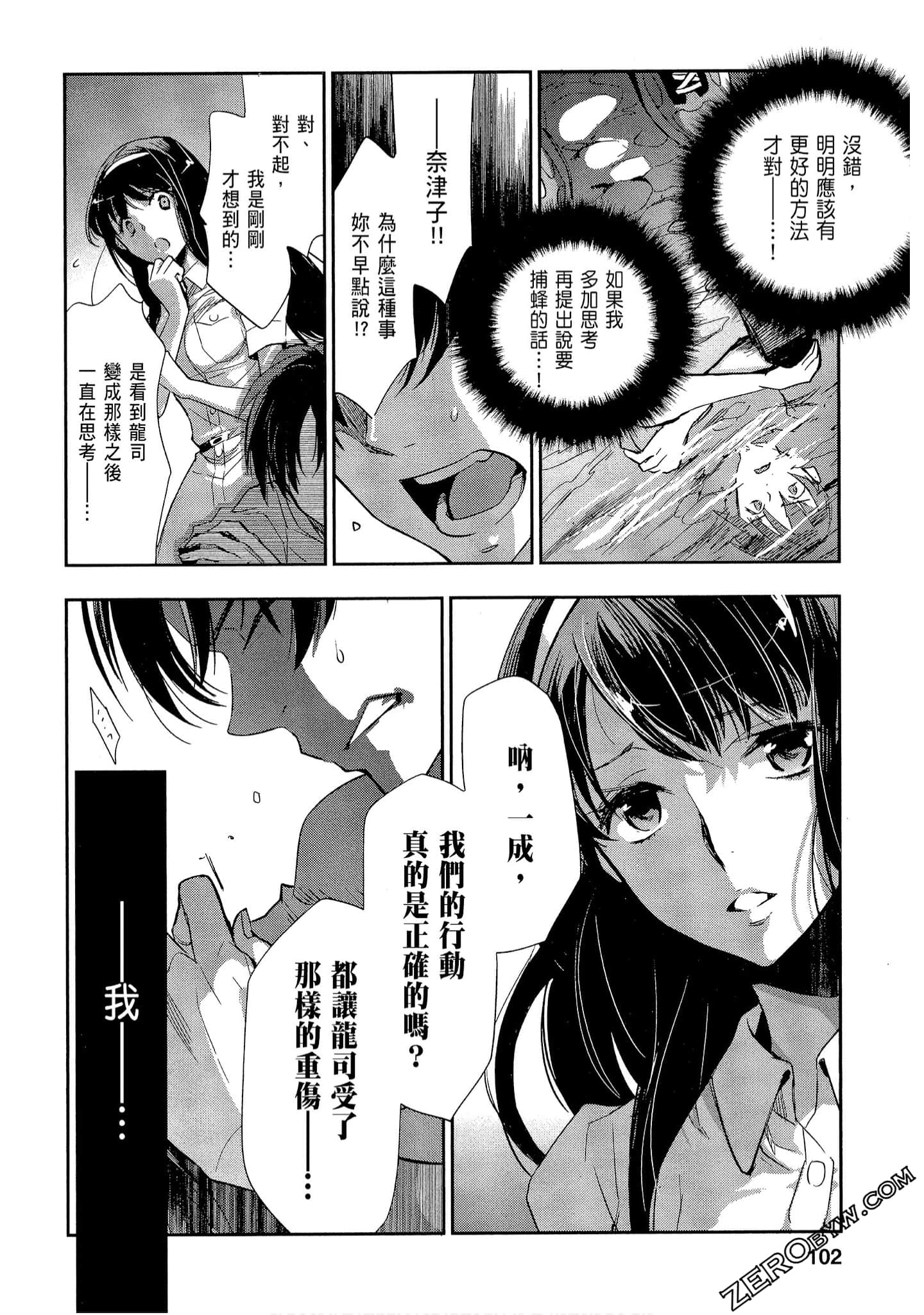 Page 102