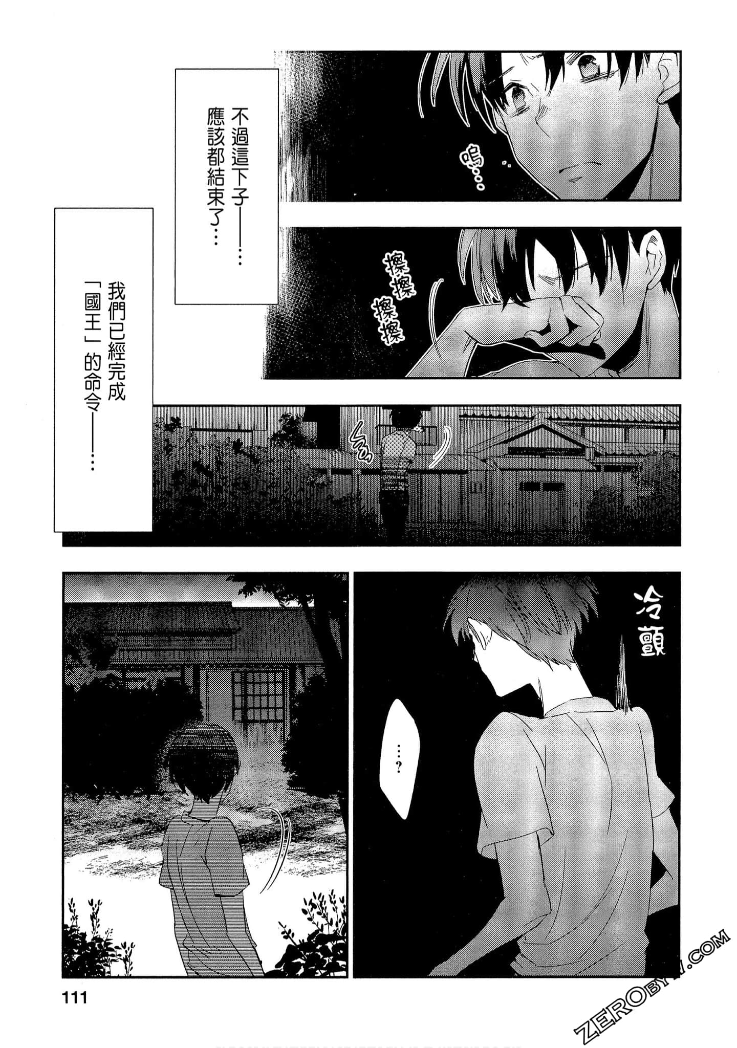 Page 111