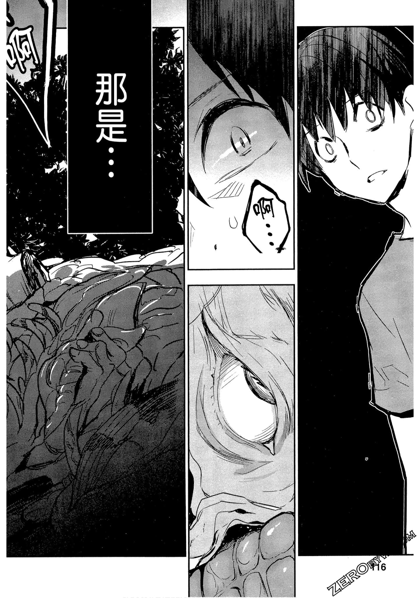 Page 116