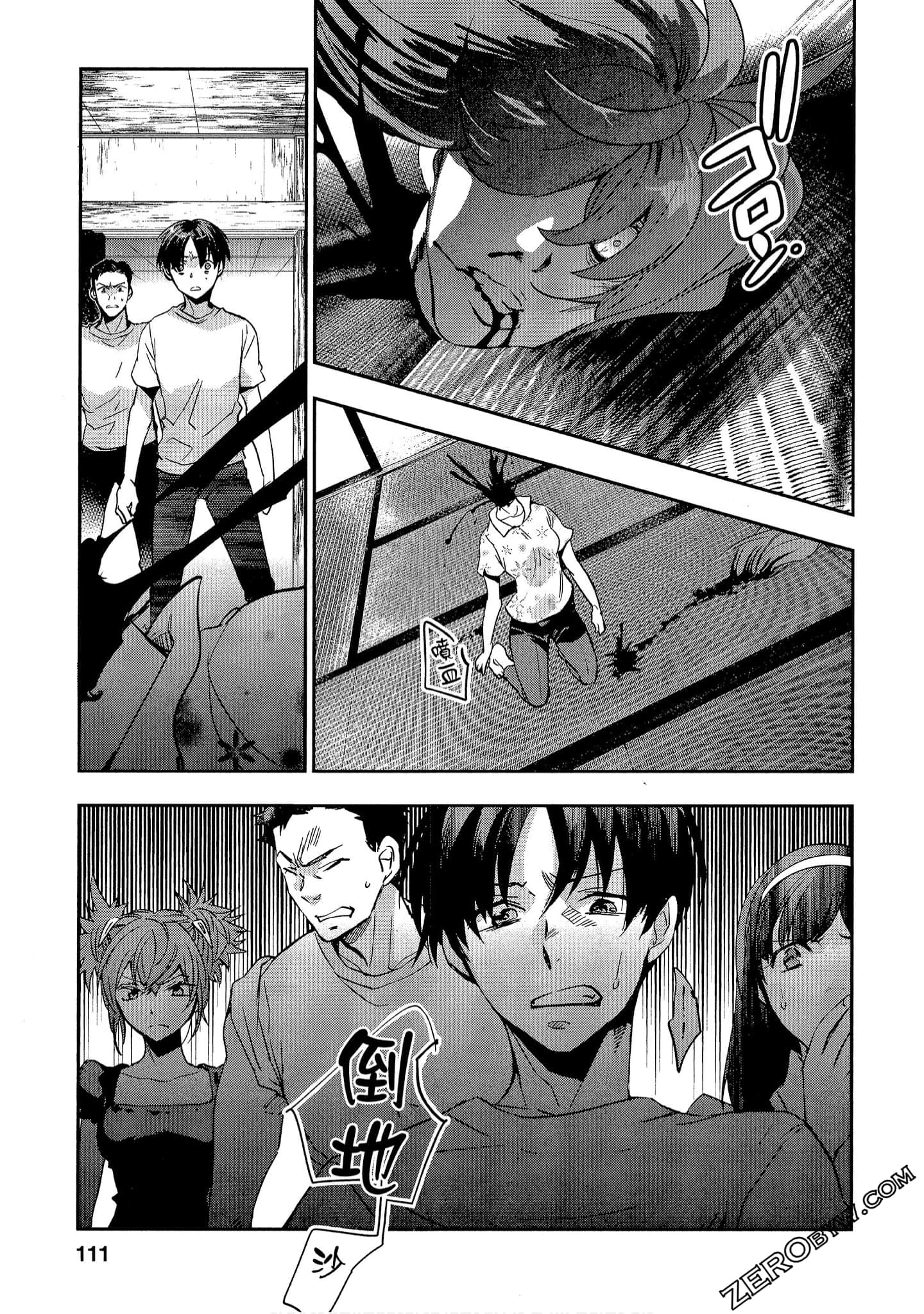 Page 111