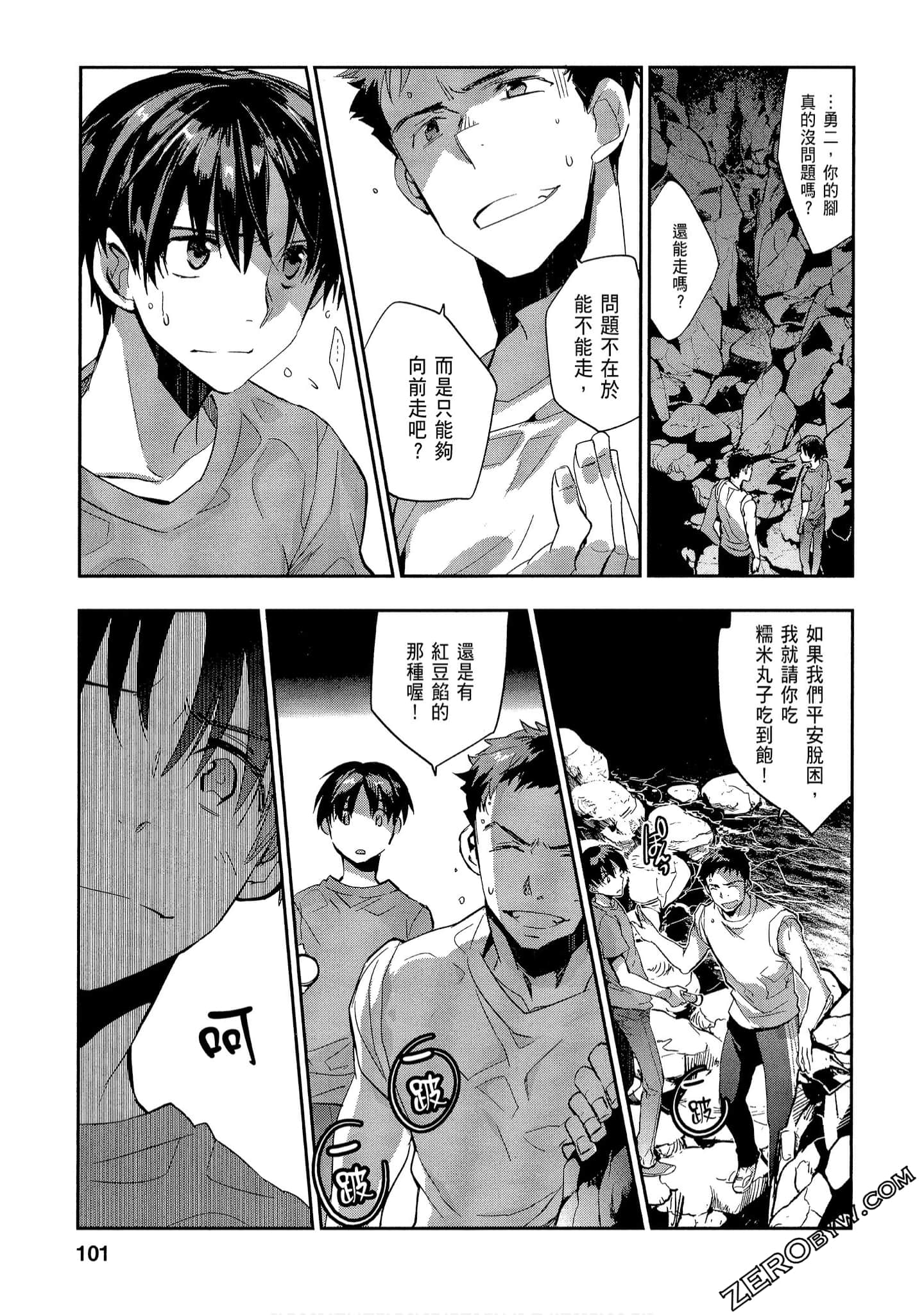 Page 101