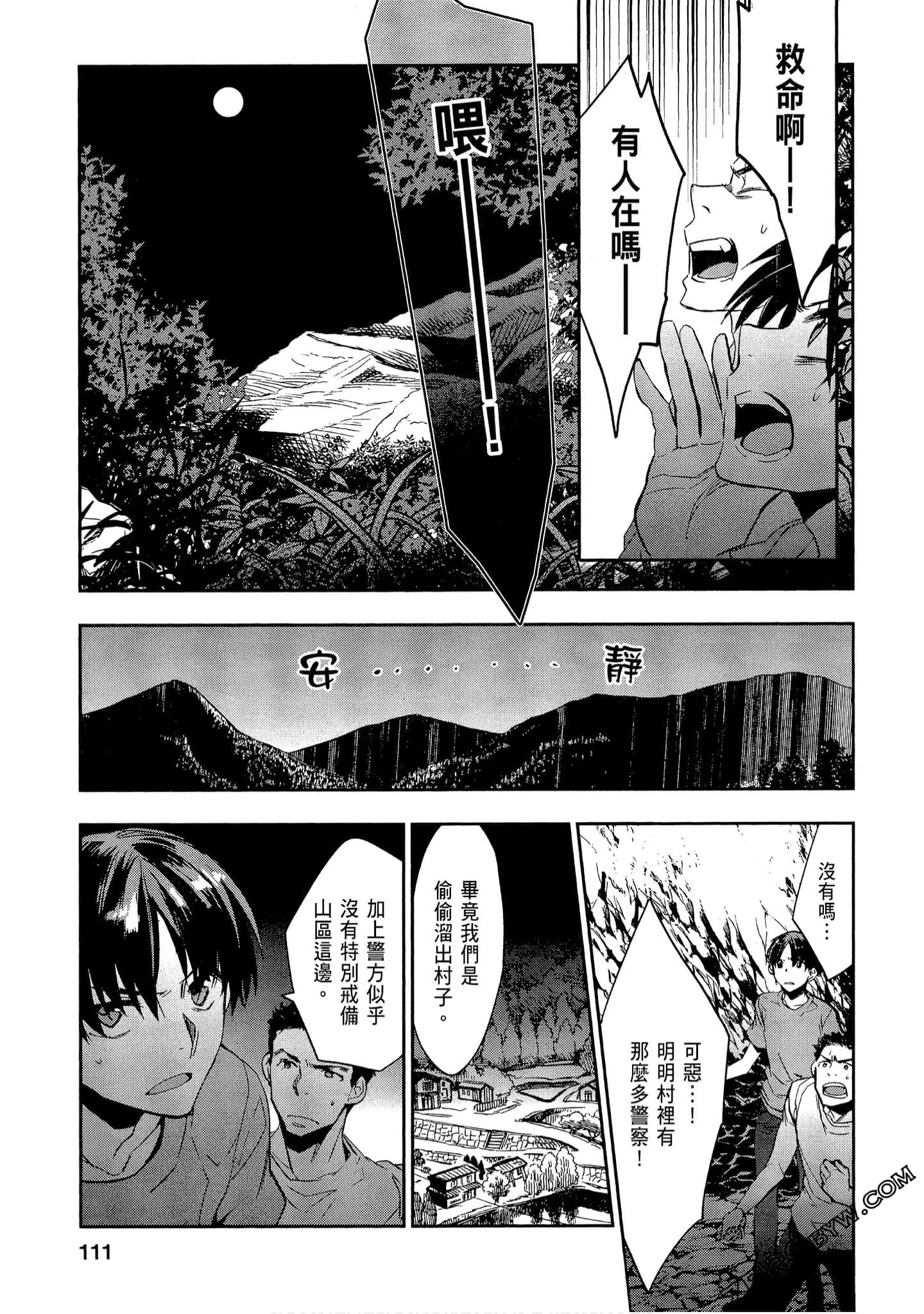 Page 111