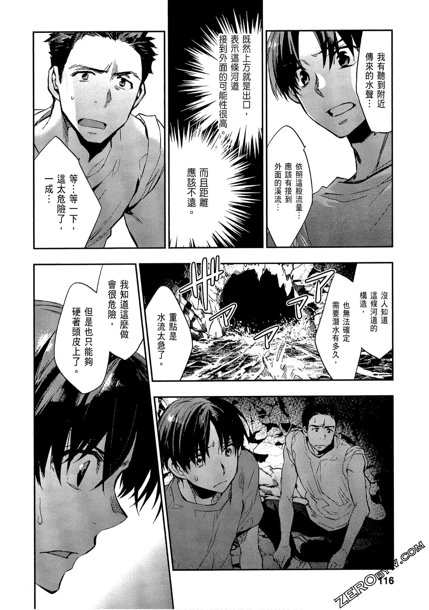 Page 116
