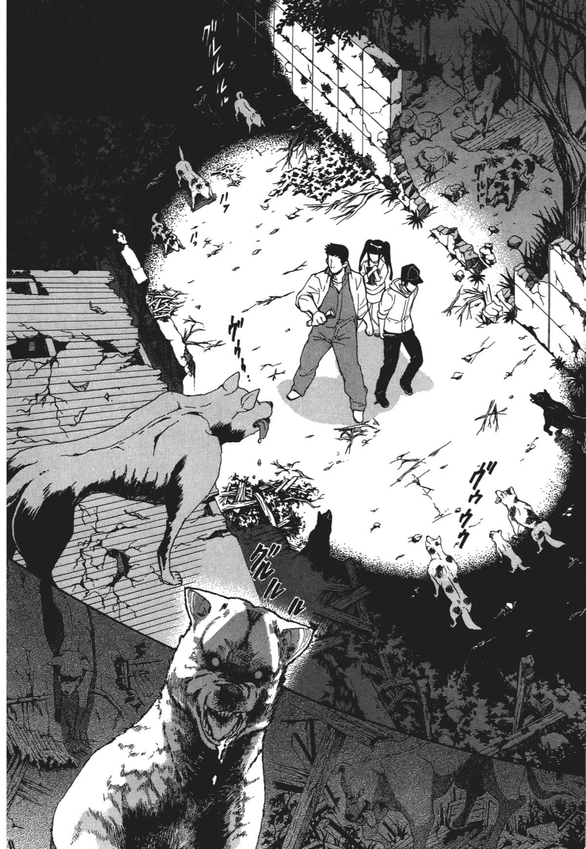 Page 121