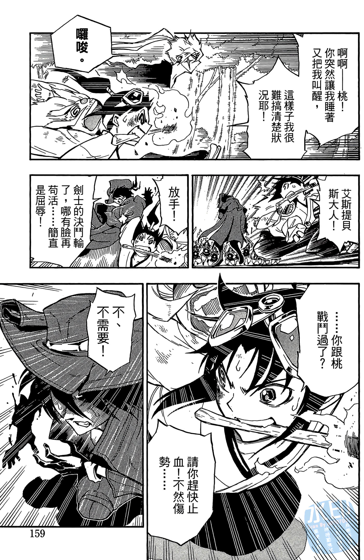 Page 161