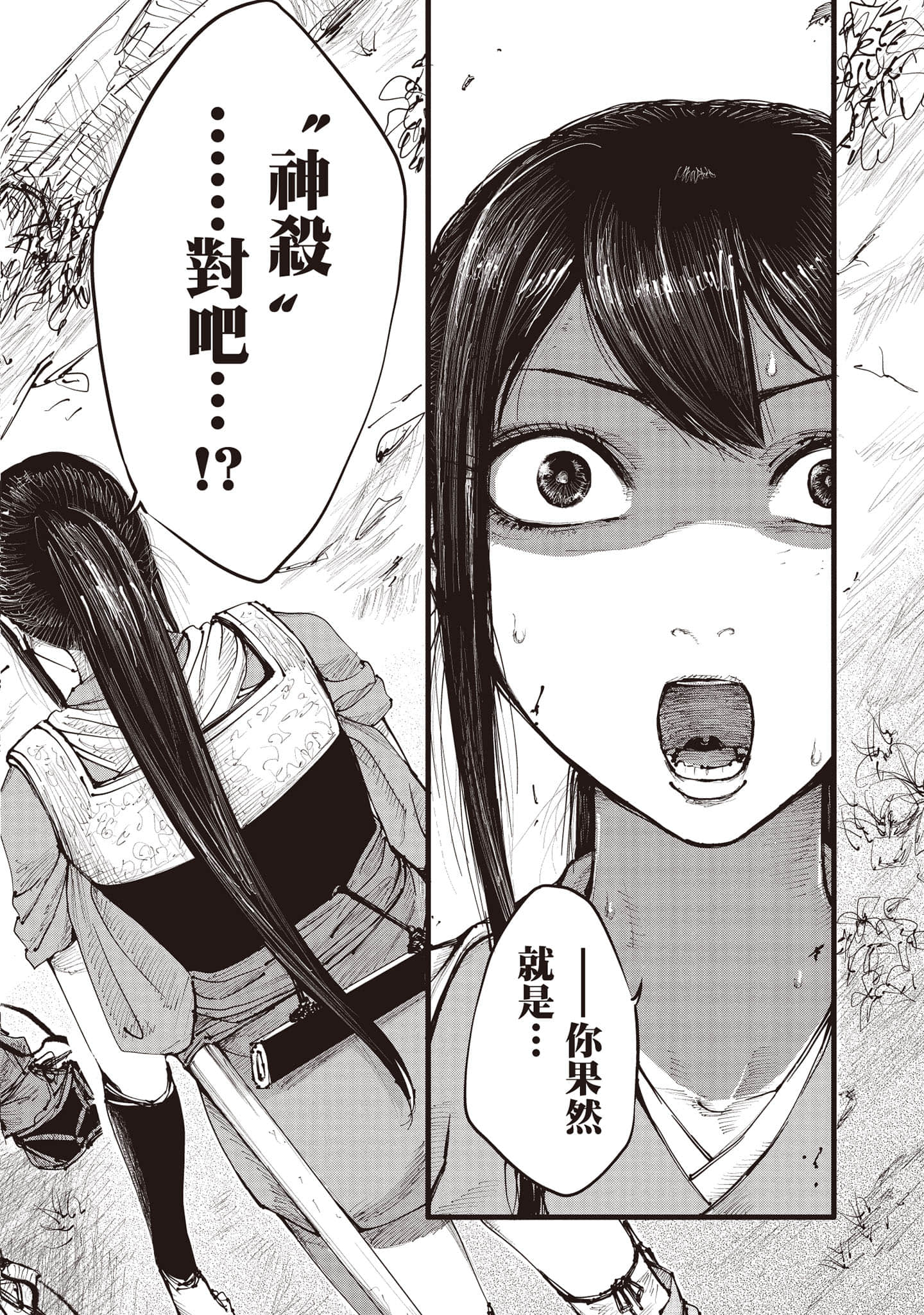 第 87 页