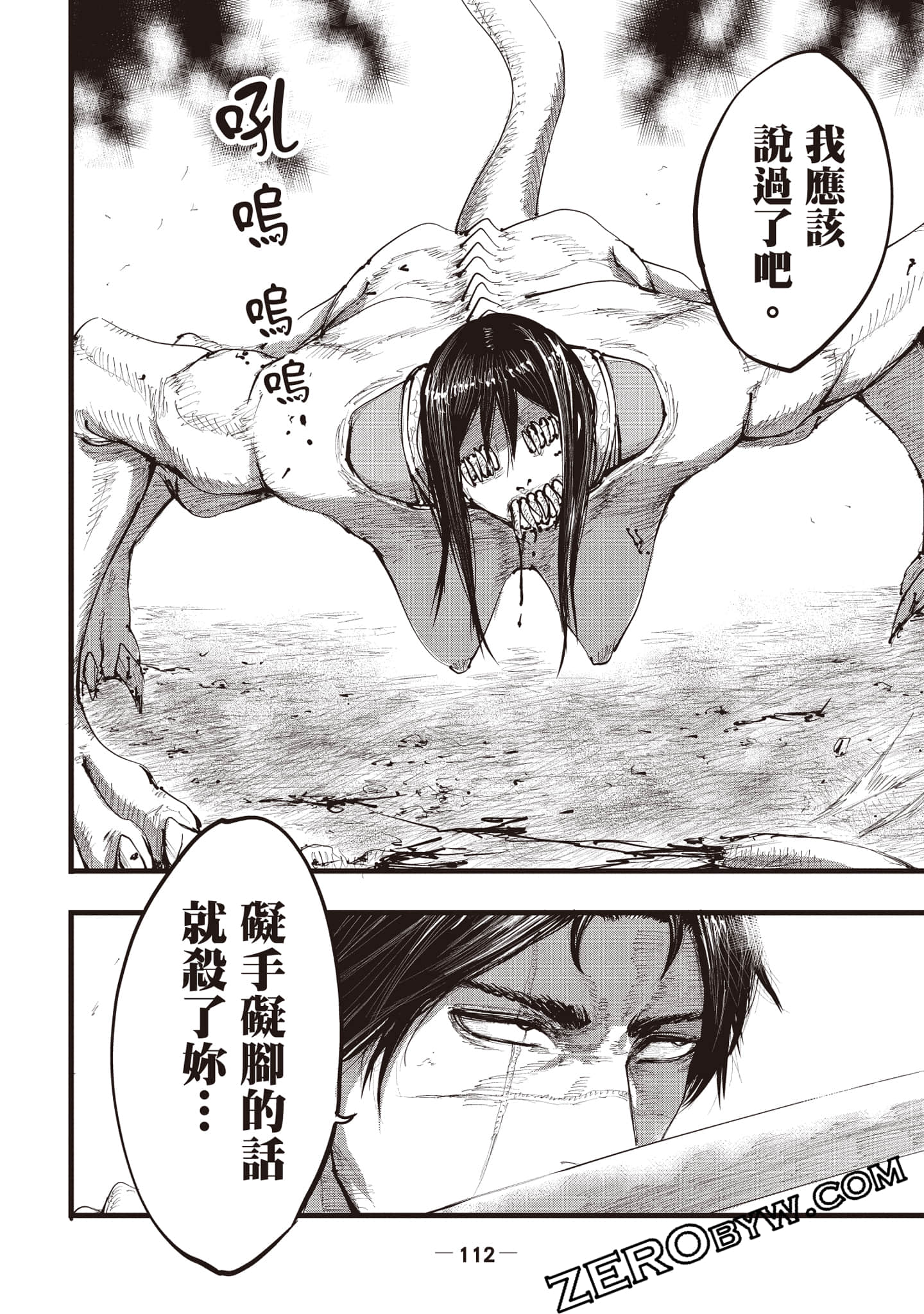 第 113 页