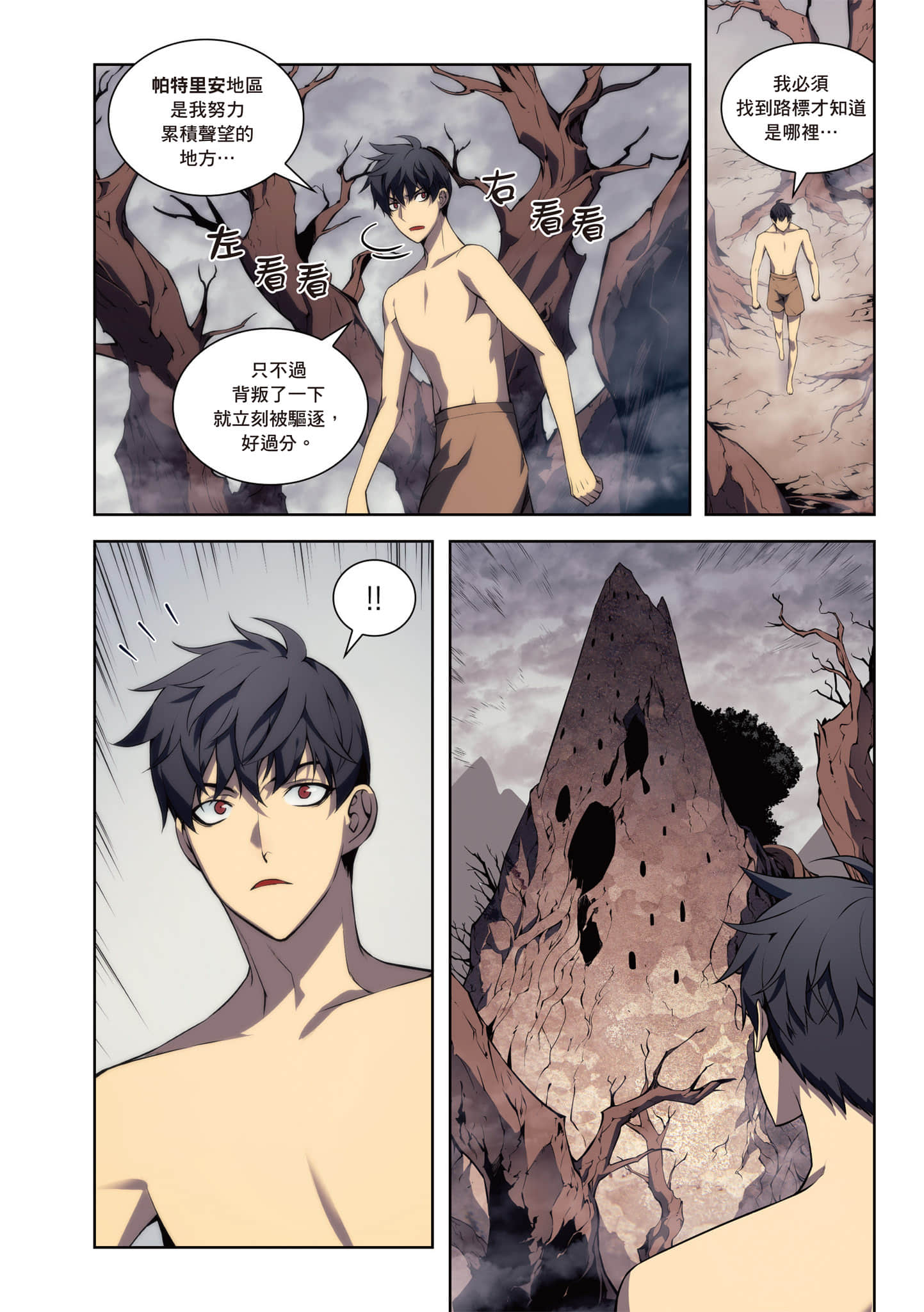 第 78 页