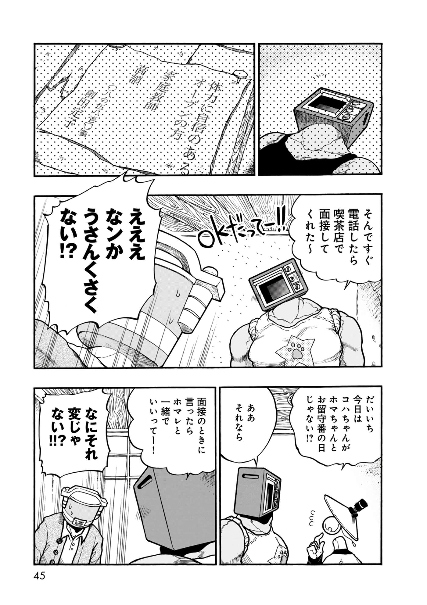 Page 45
