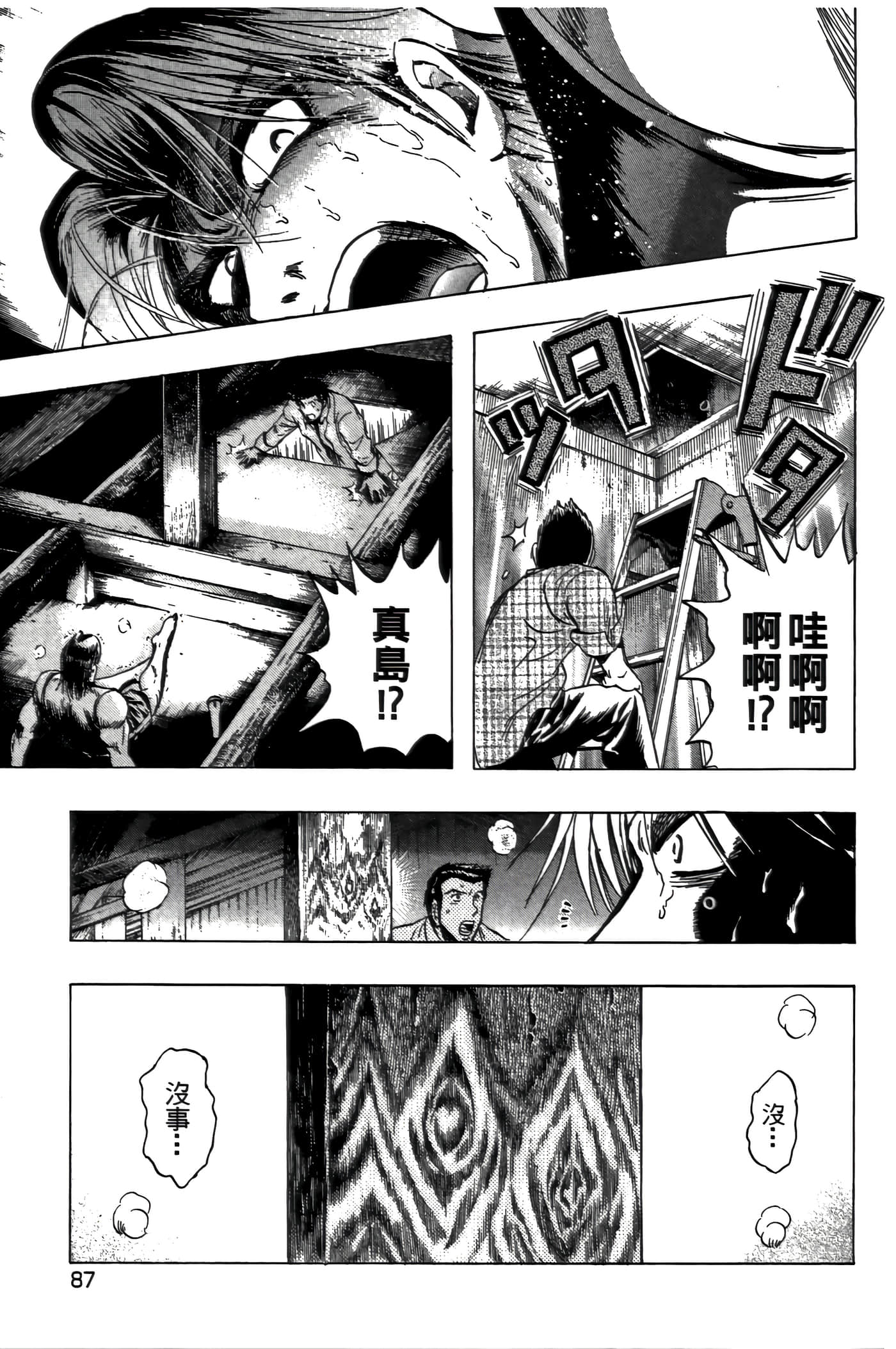 Page 87