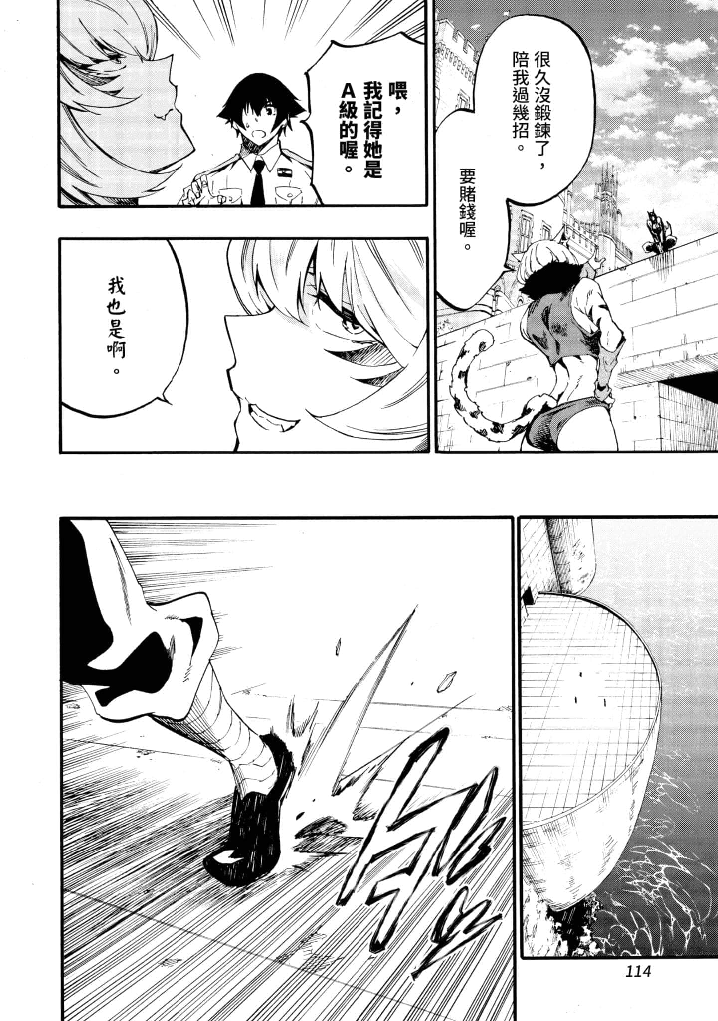 第 115 页