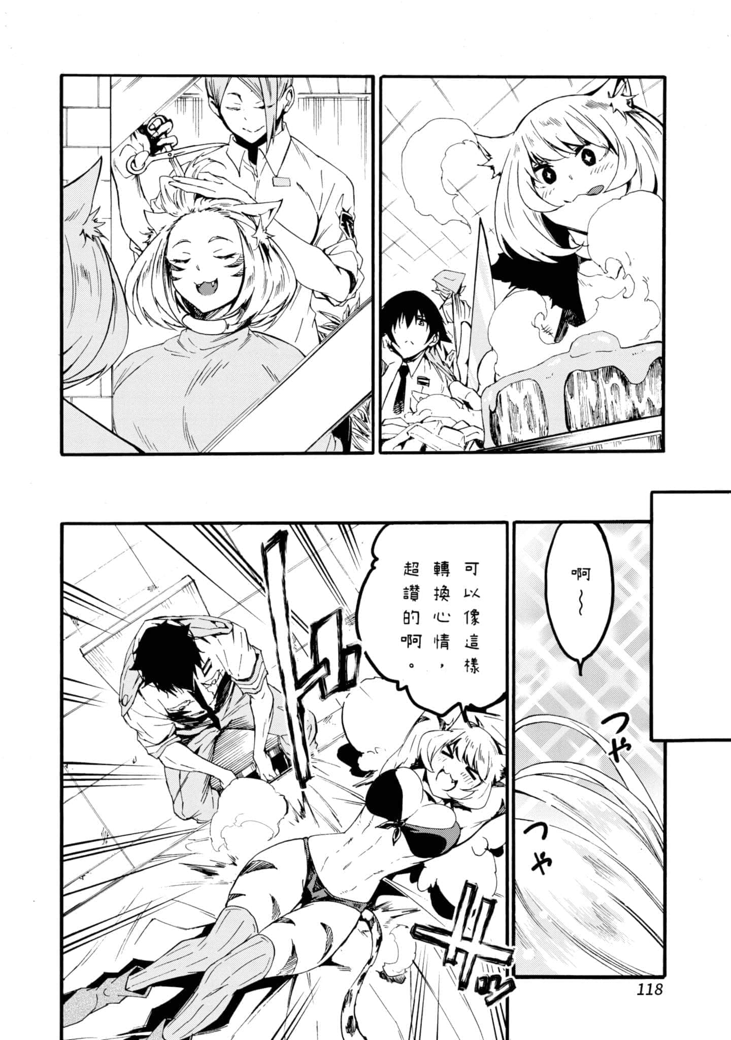 第 119 页