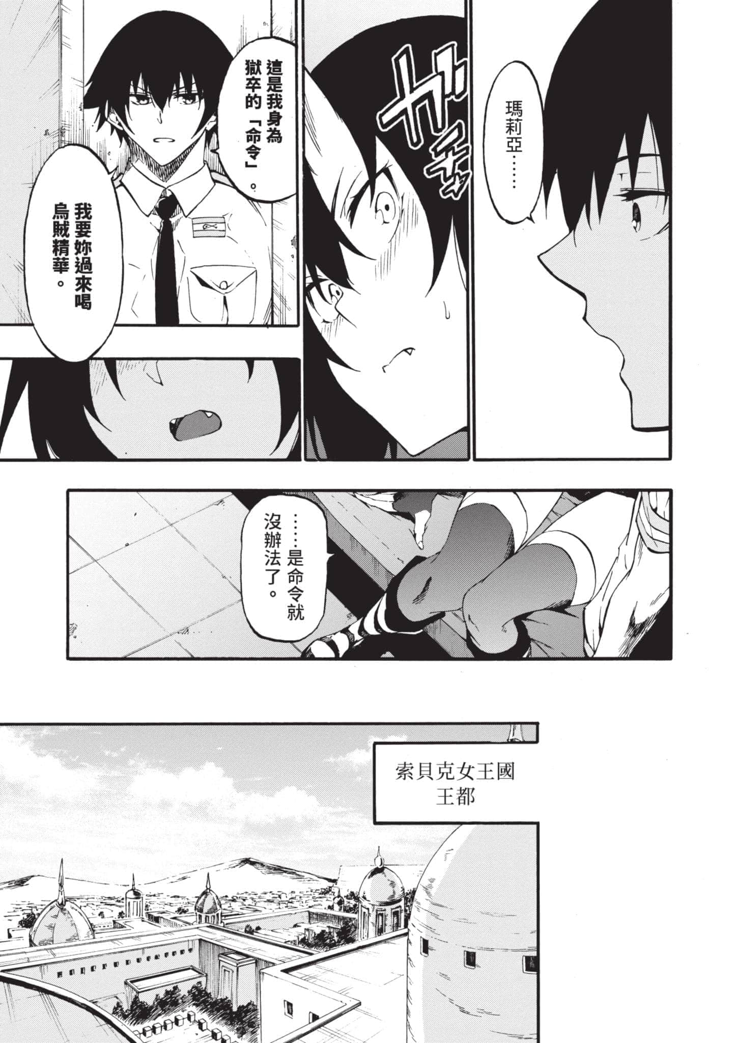第 106 页