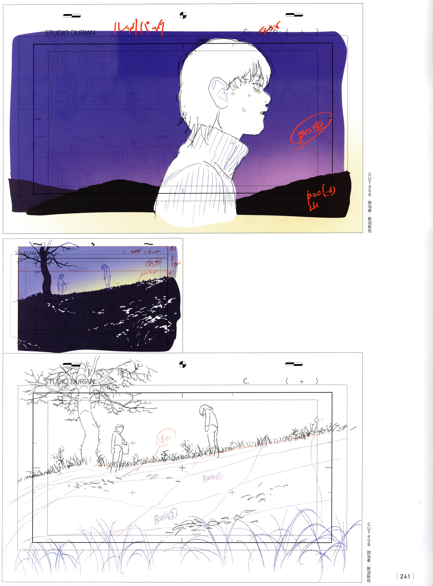 Page 243