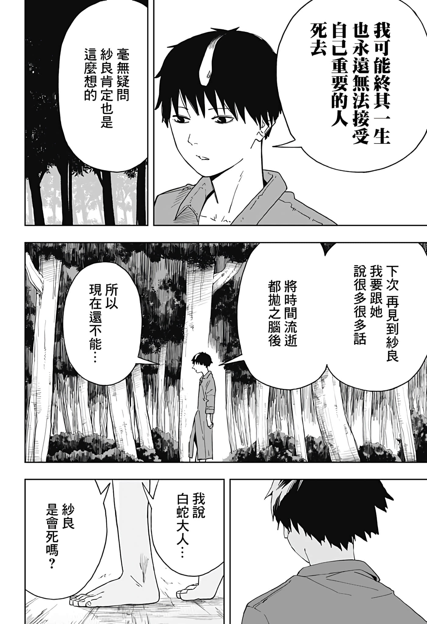 第 41 页