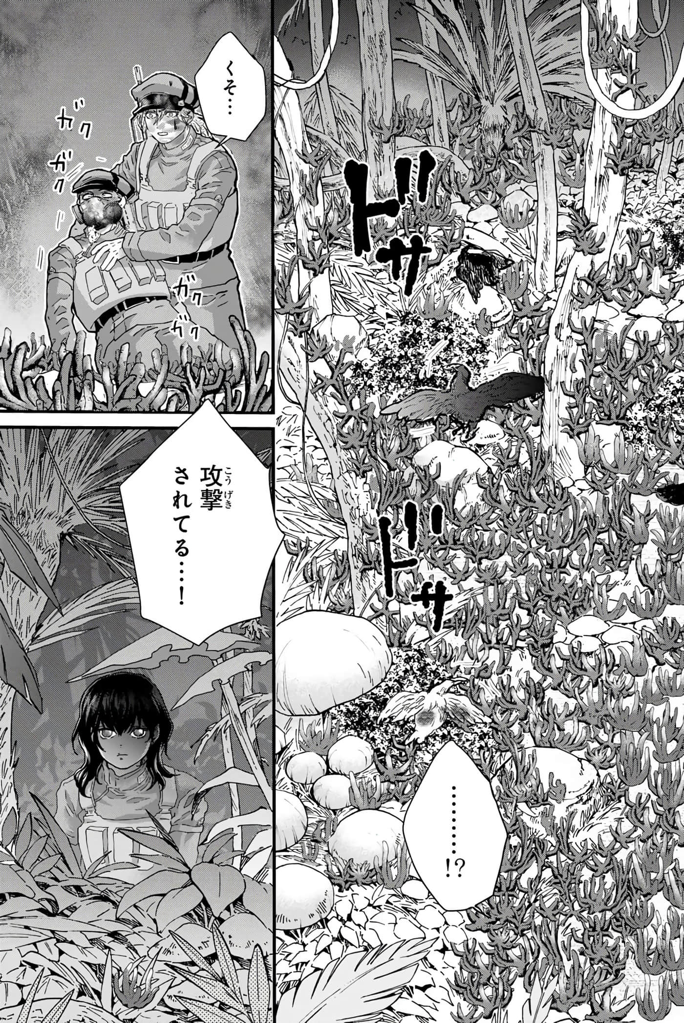 第 34 页