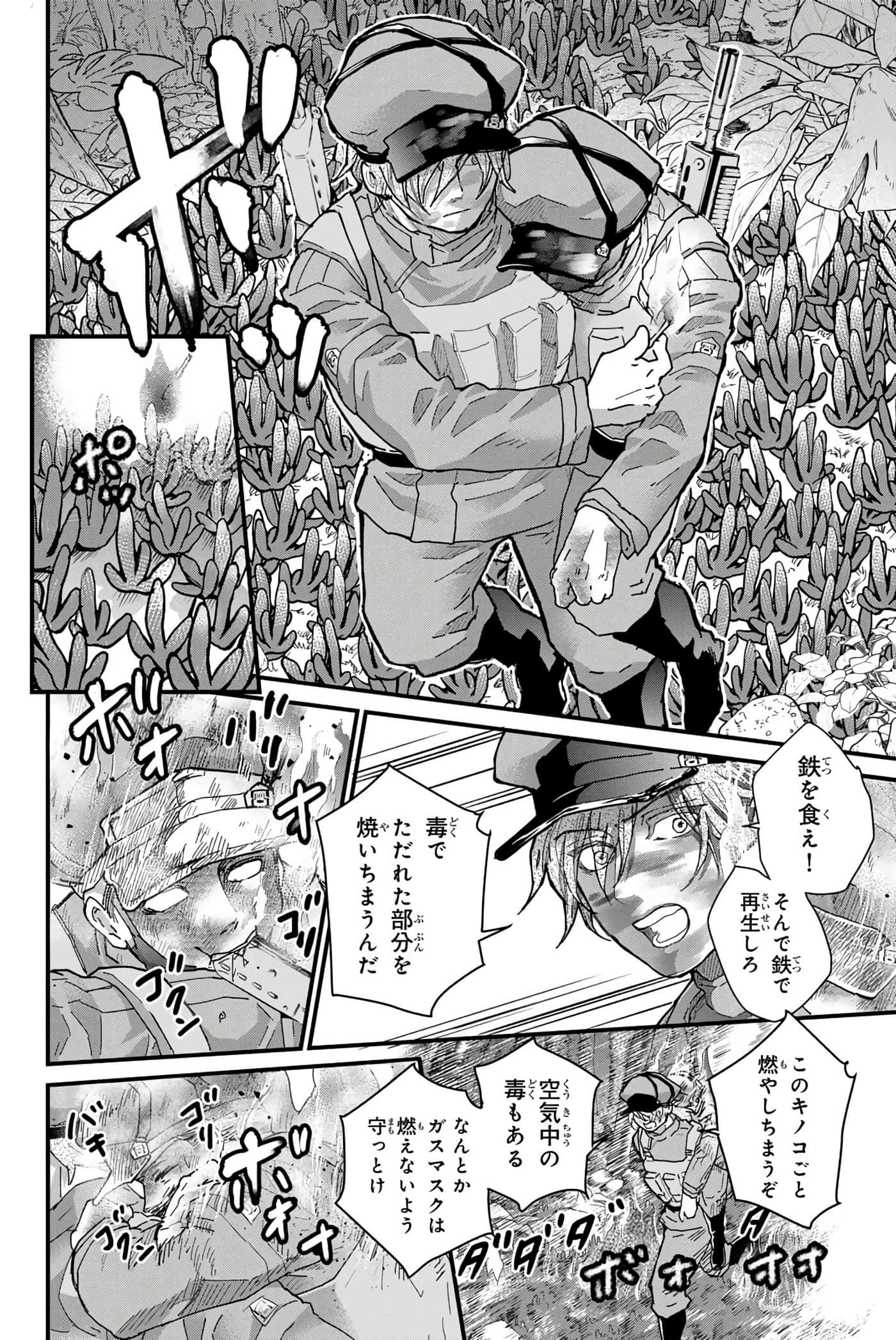 第 43 页