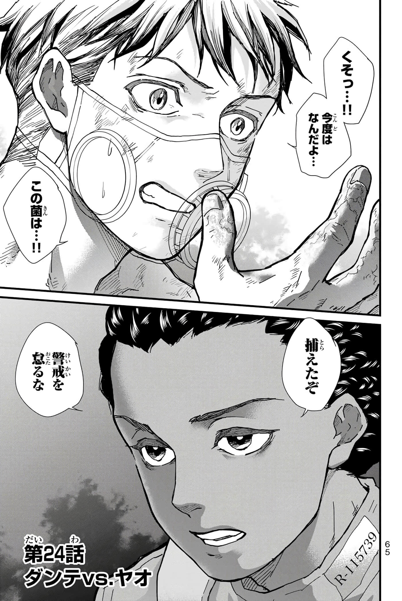 第 66 页