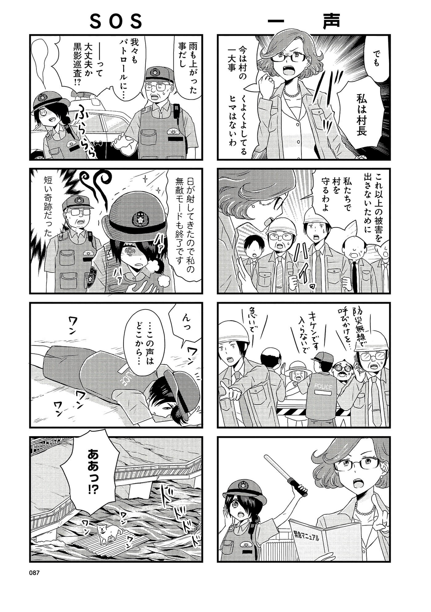 Page 87