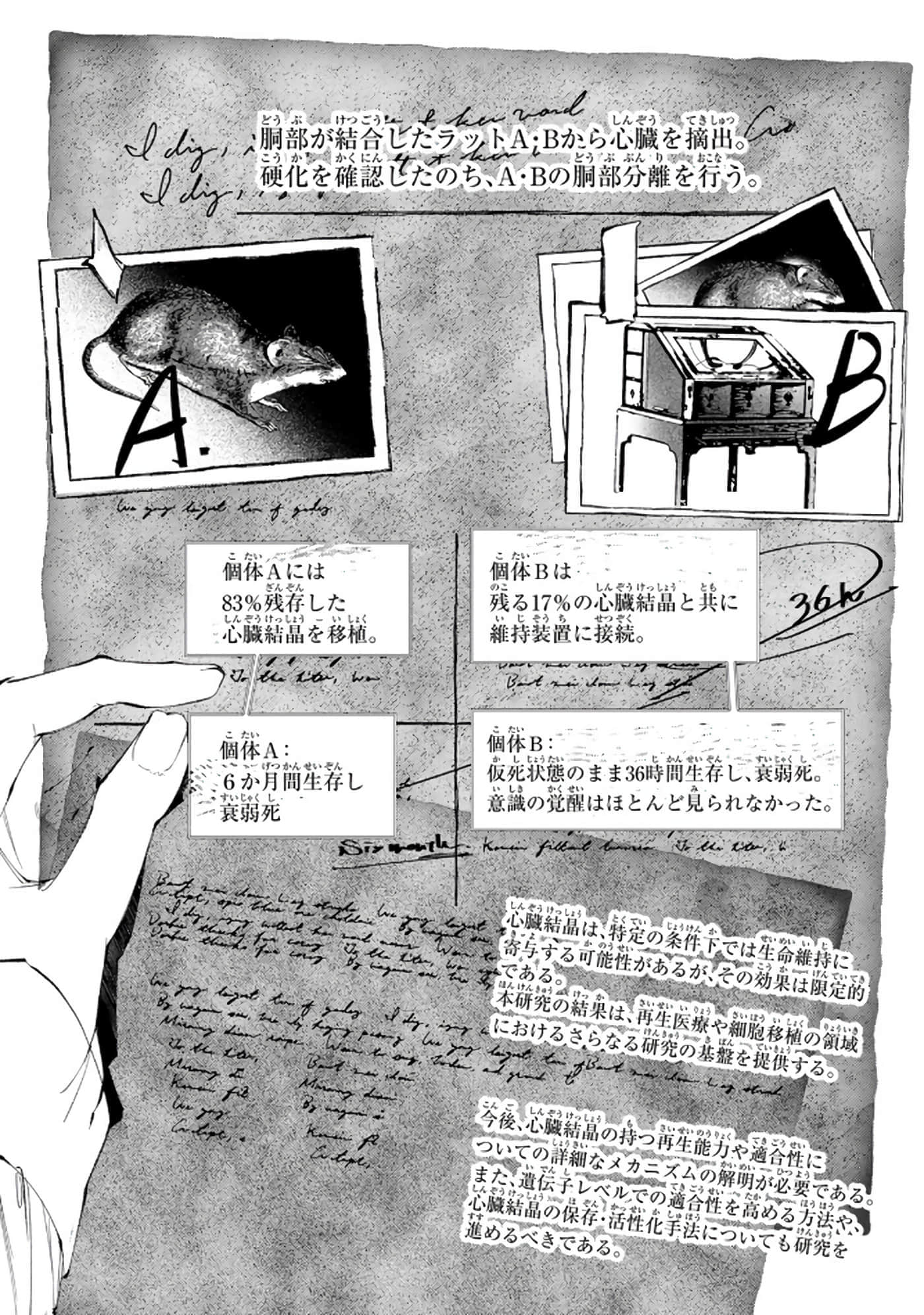 第 38 页