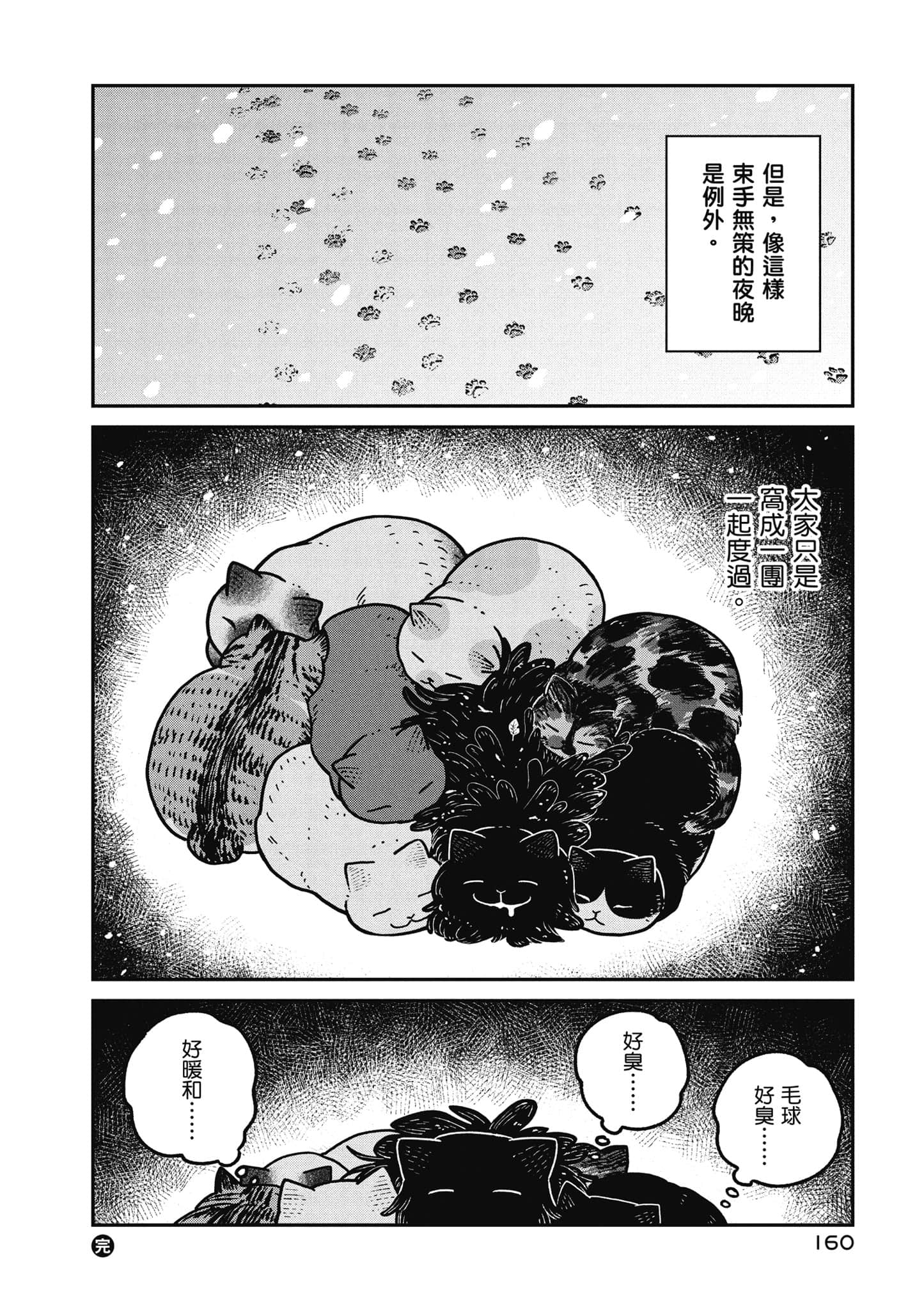 Page 161