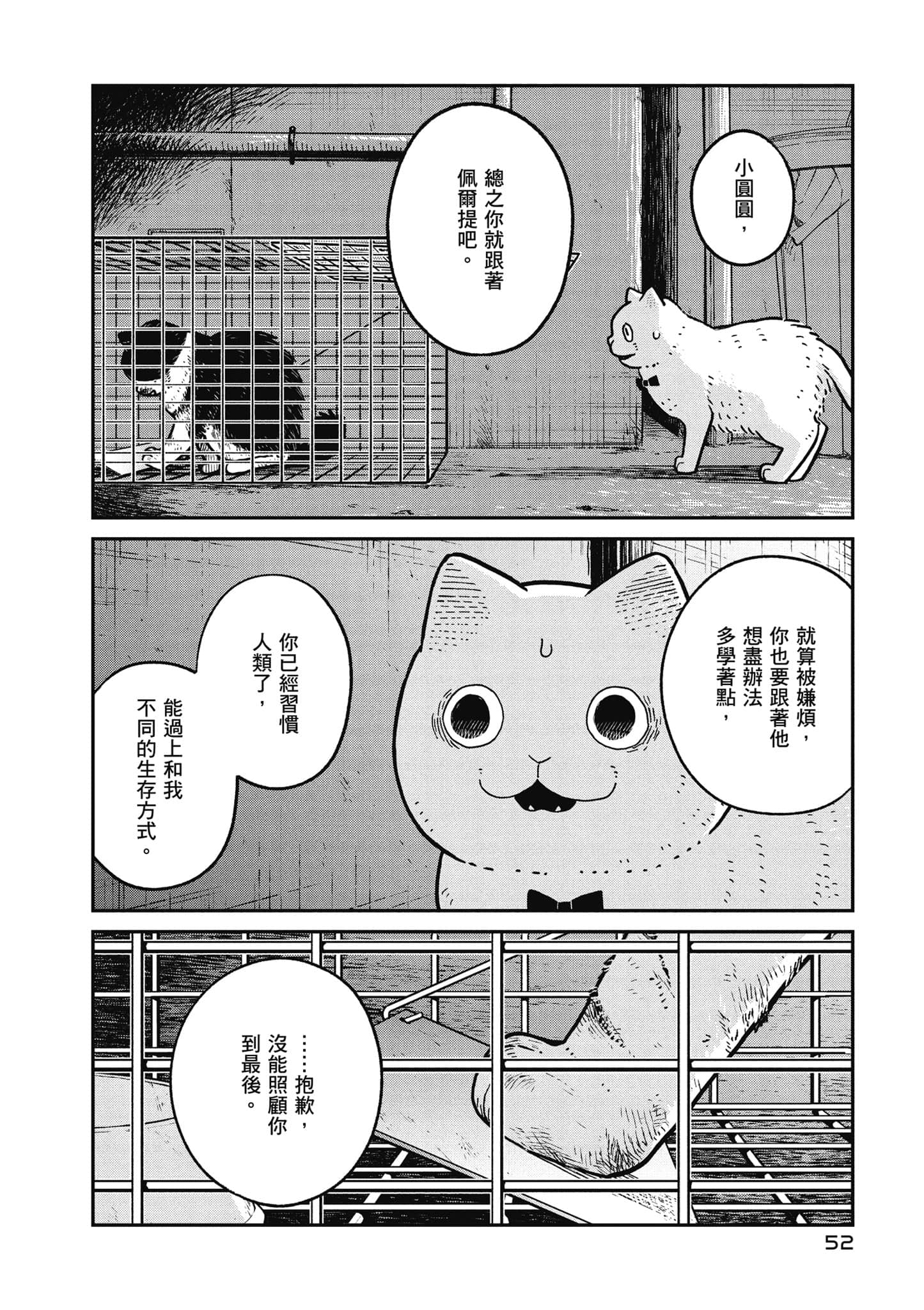 Page 53